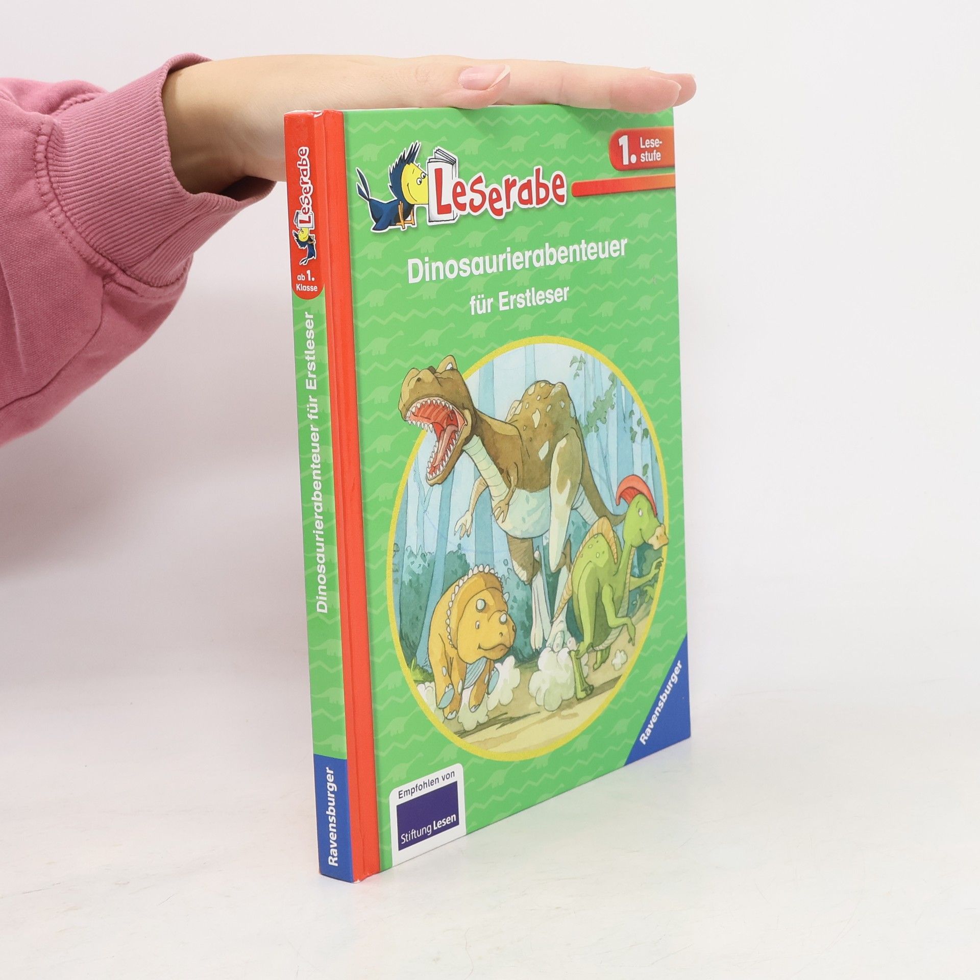 Claudia Ondracek Dinoabenteuer für Erstleser