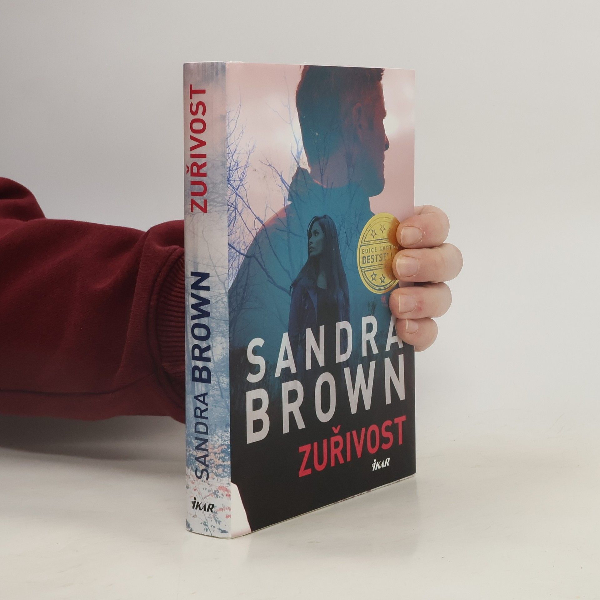 Sandra Brown Zuřivost