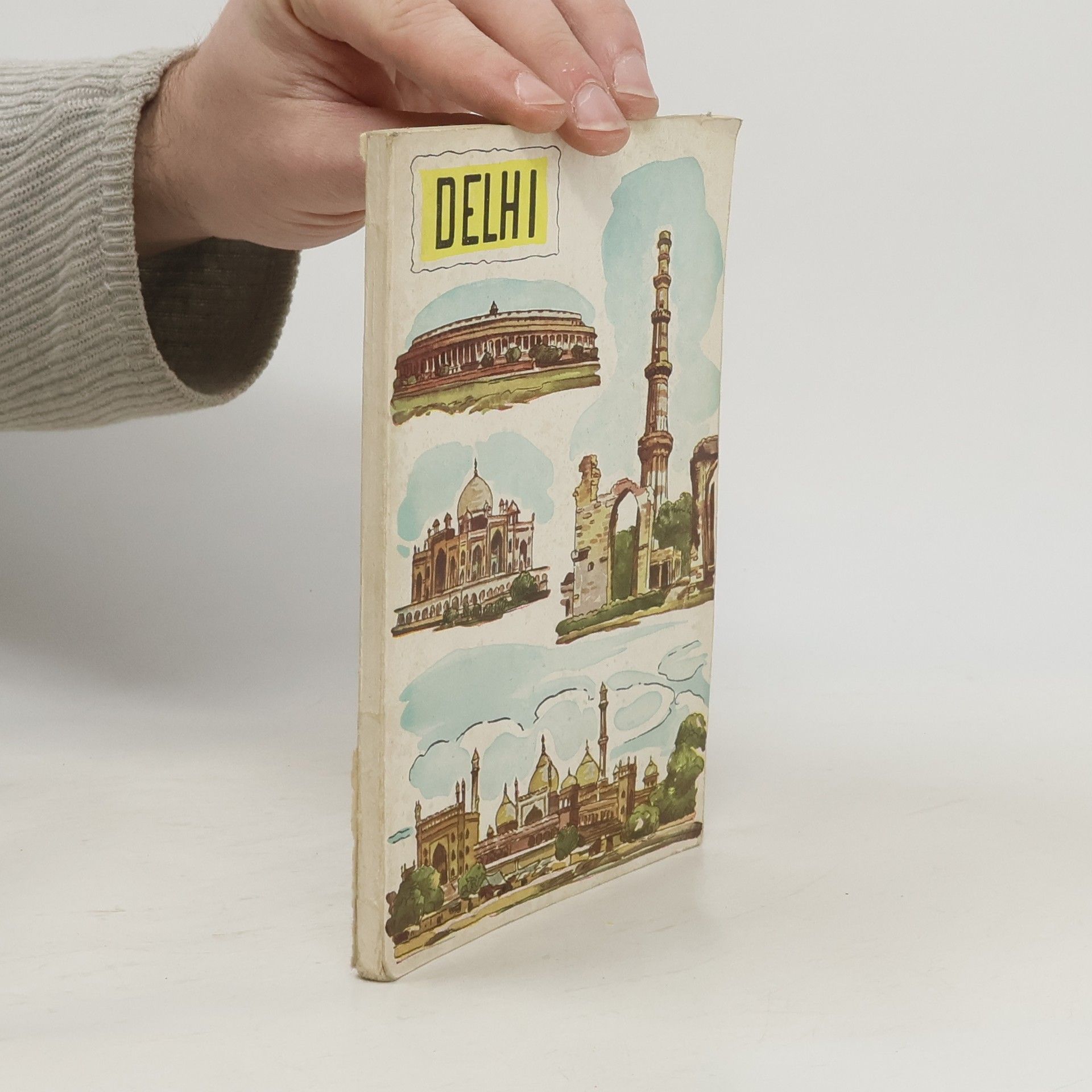 Kolektív autorov Delhi