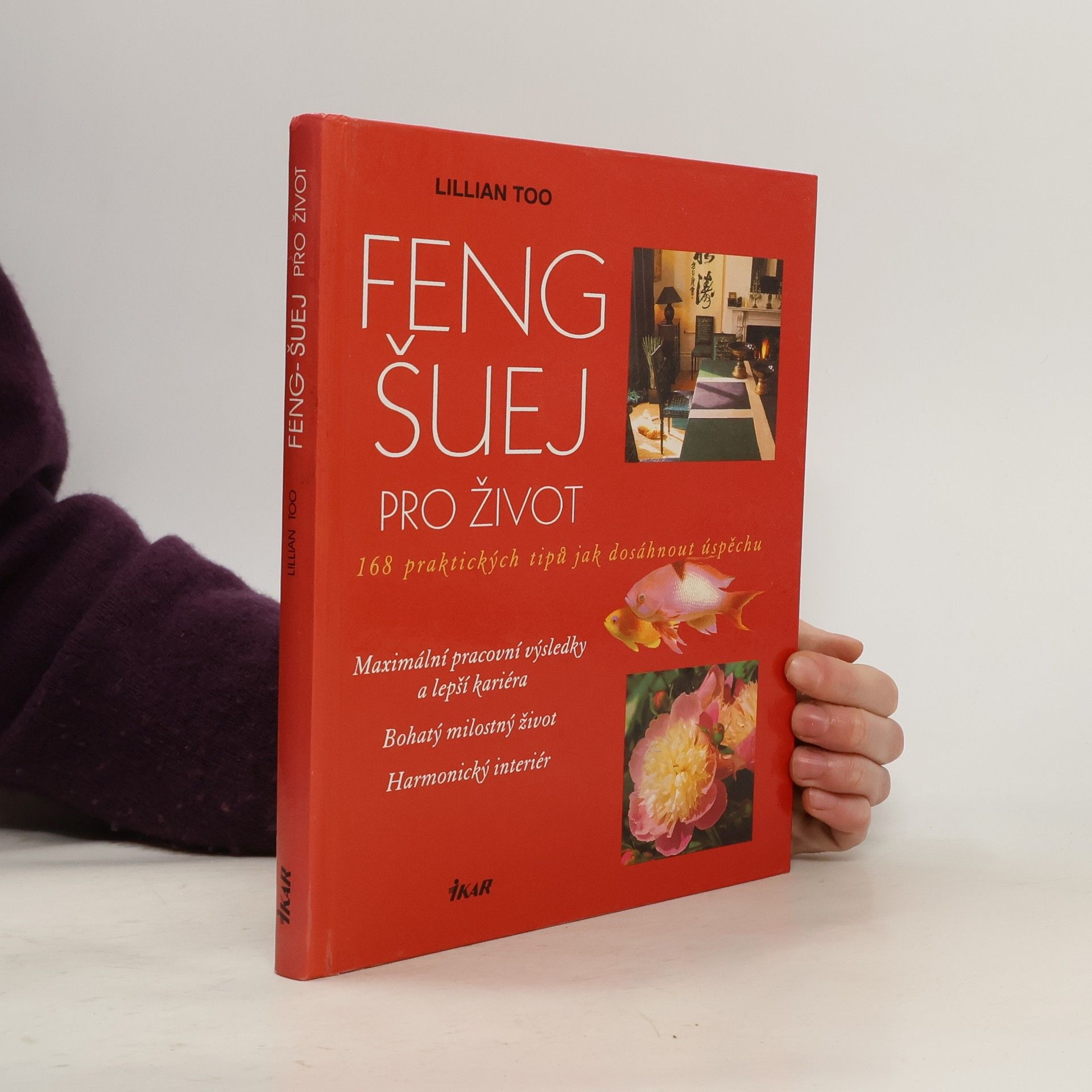 Lillian Too Feng-šuej pro život. 168 praktických tipů jak dosáhnout úspěchu