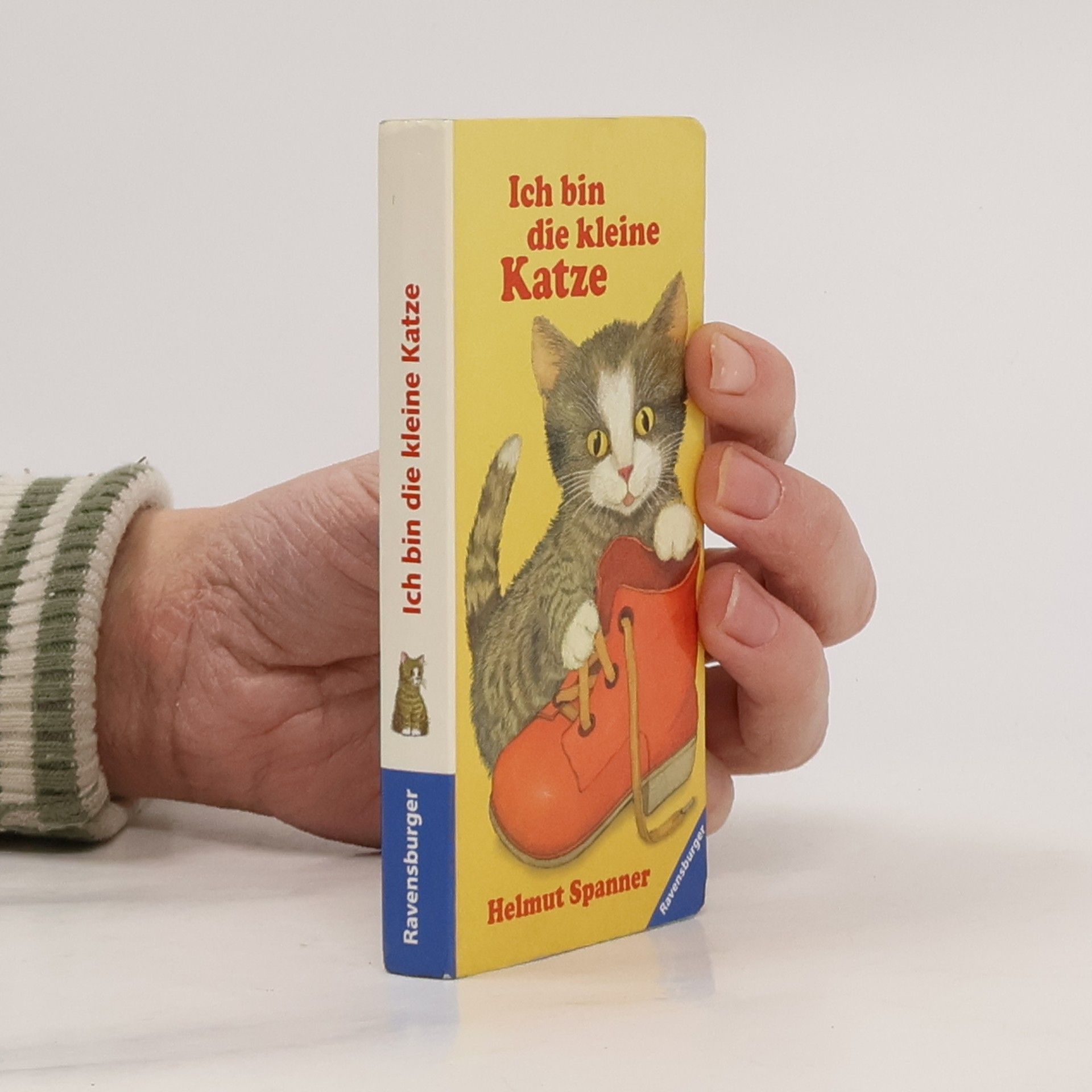 Amrei Fechner Ich bin das kleine Pony