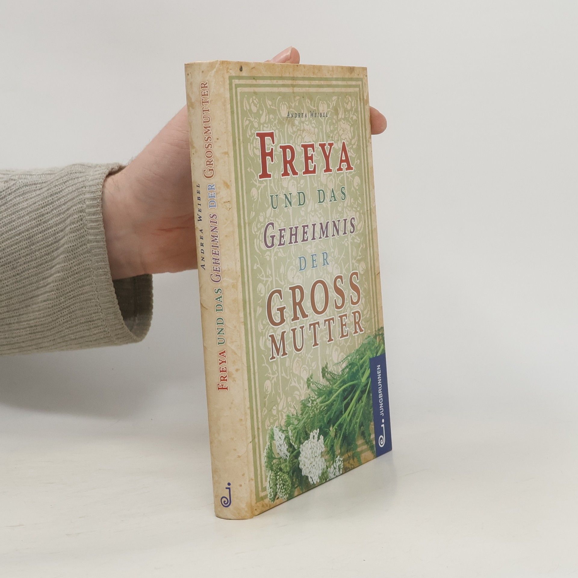 Andrea Weibel Freya und das Geheimnis der Großmutter