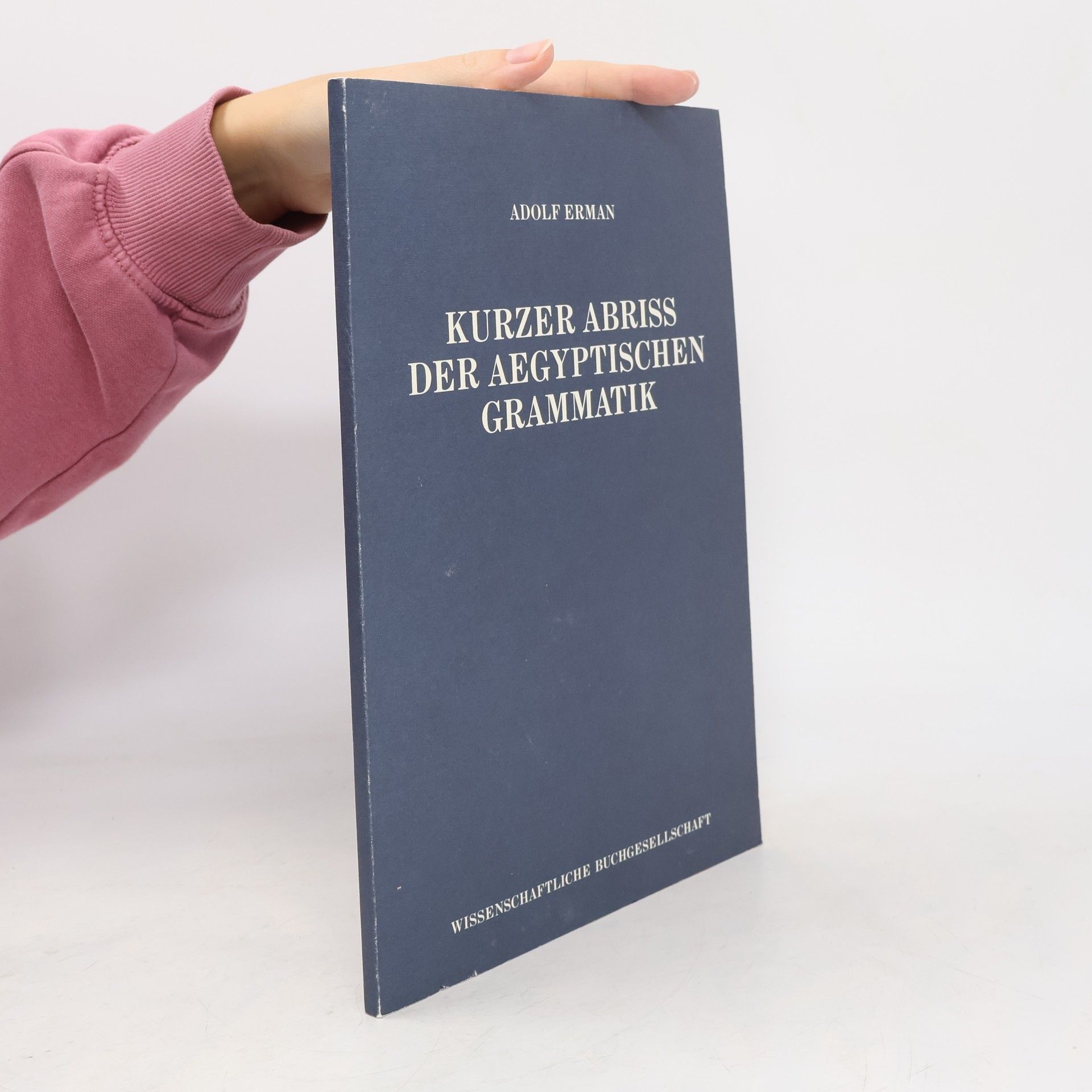 Kurzer Abriss der aegyptischen Grammatik