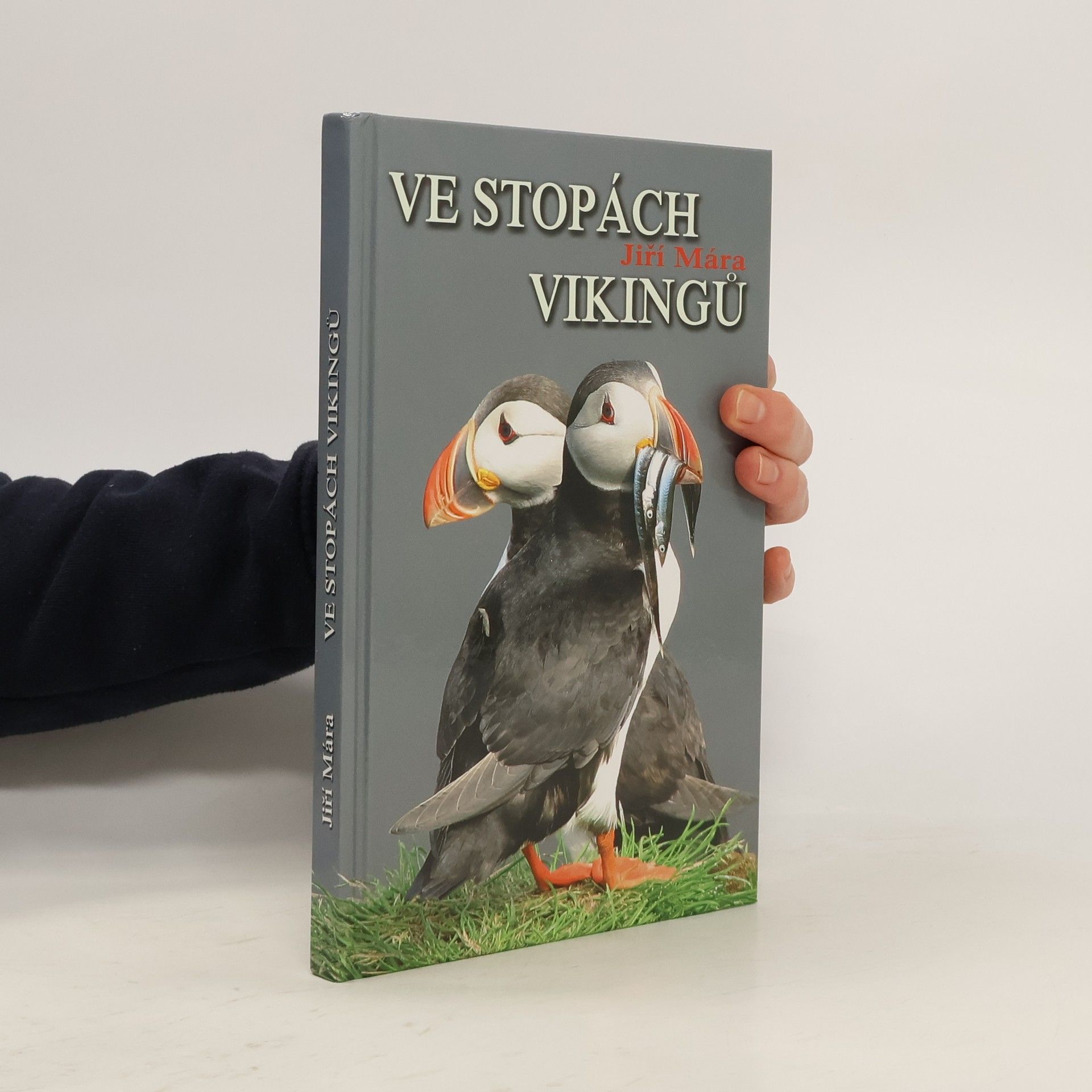 Jiří Mára Ve stopách Vikingů