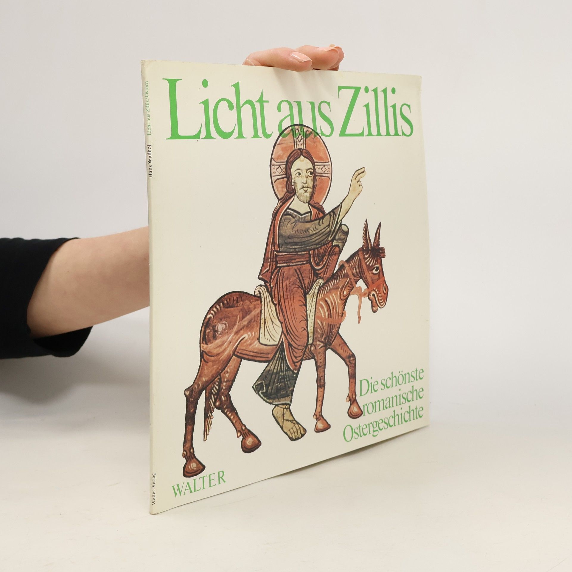 Autorenkollektiv Licht aus Zillis