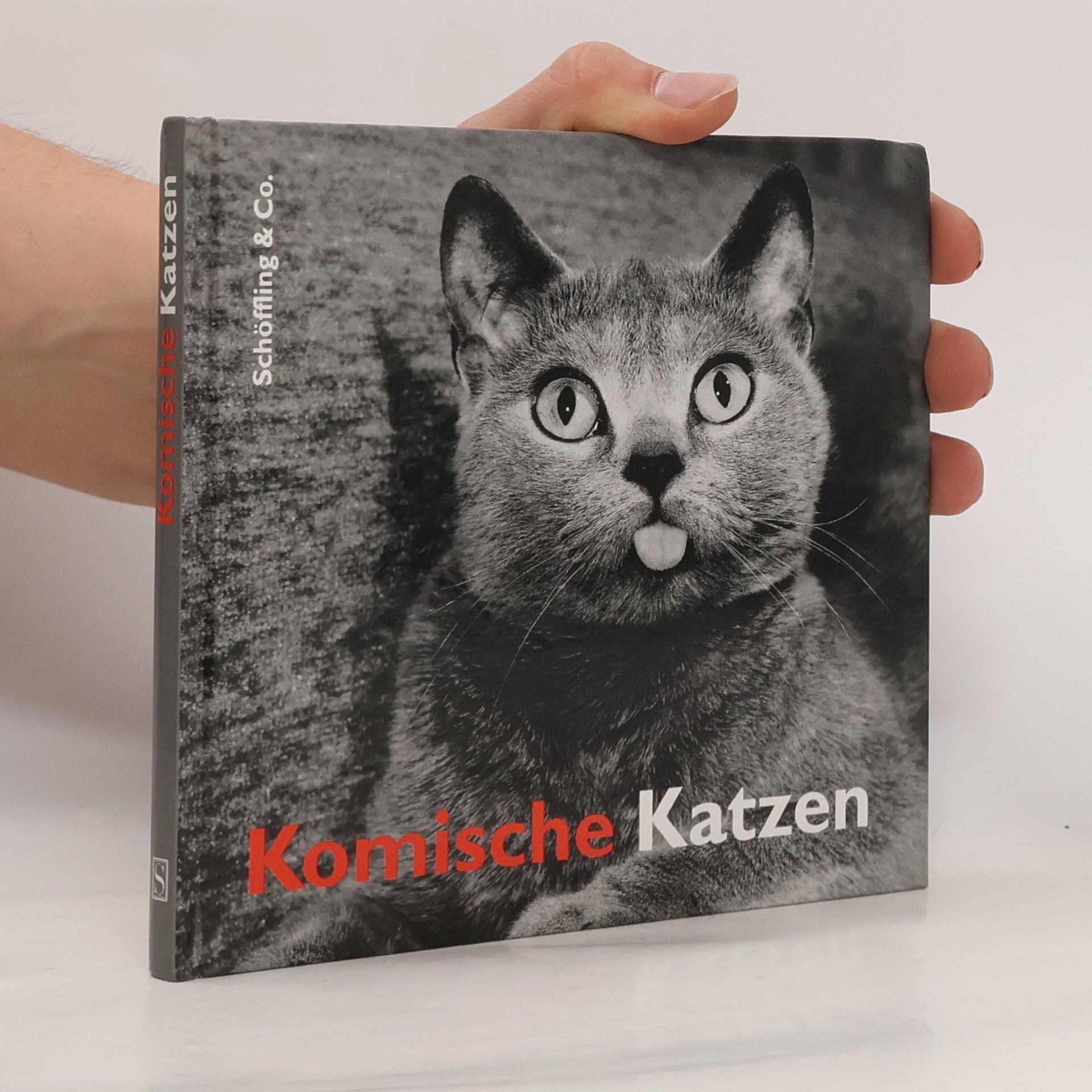 Julia Bachstein Komische Katzen