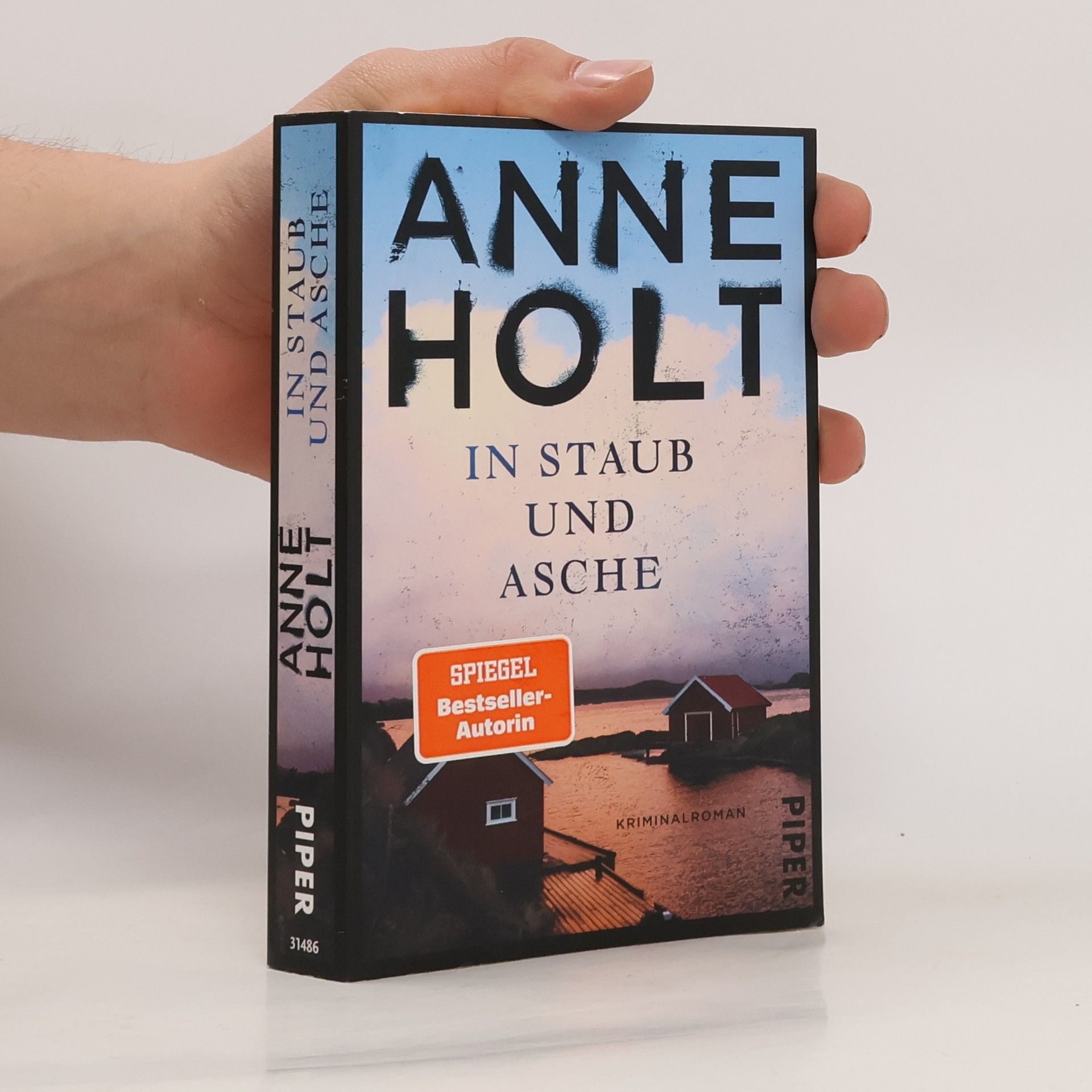 Anne Holt In Staub und Asche