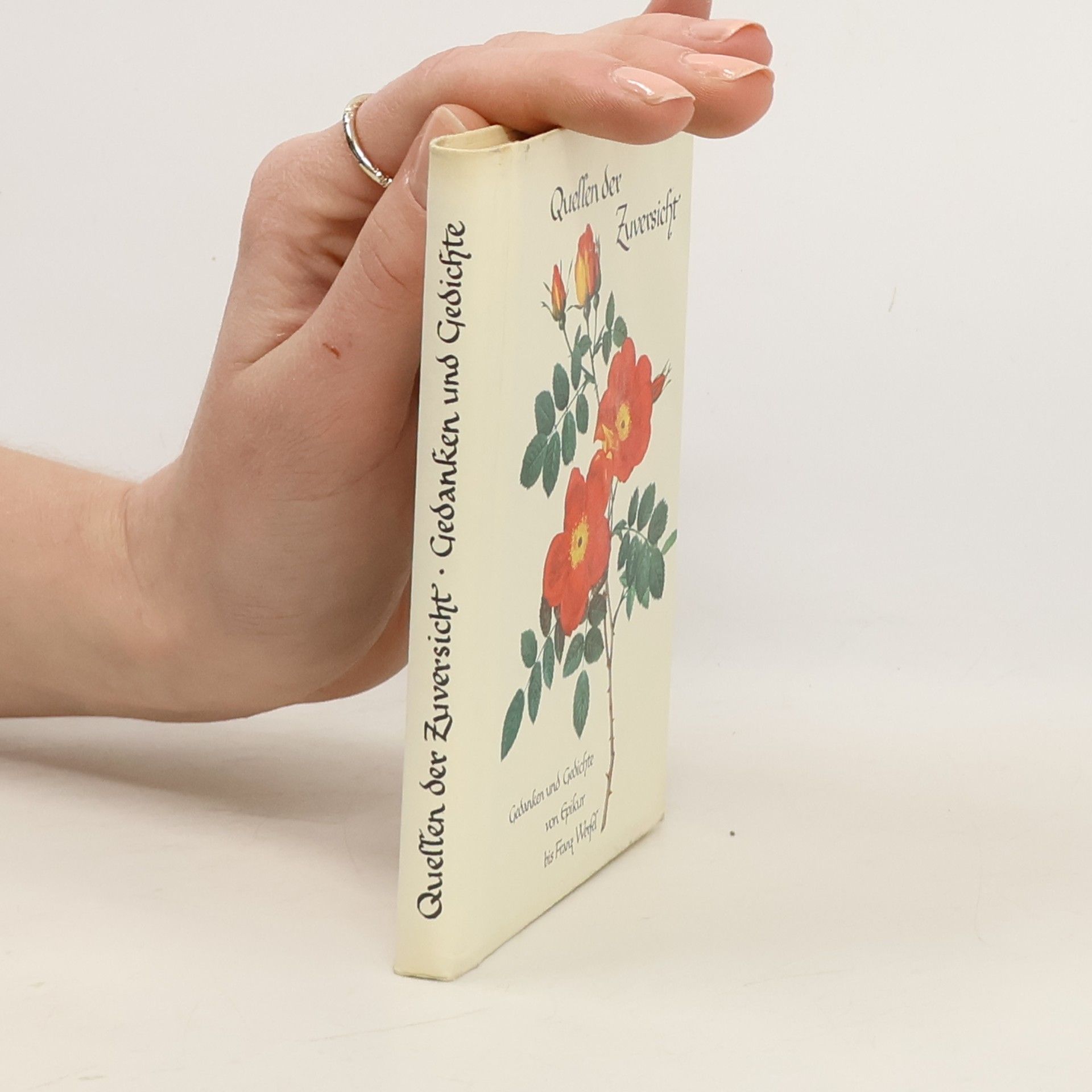 Eugen Hettinger Quellen der Zuversicht