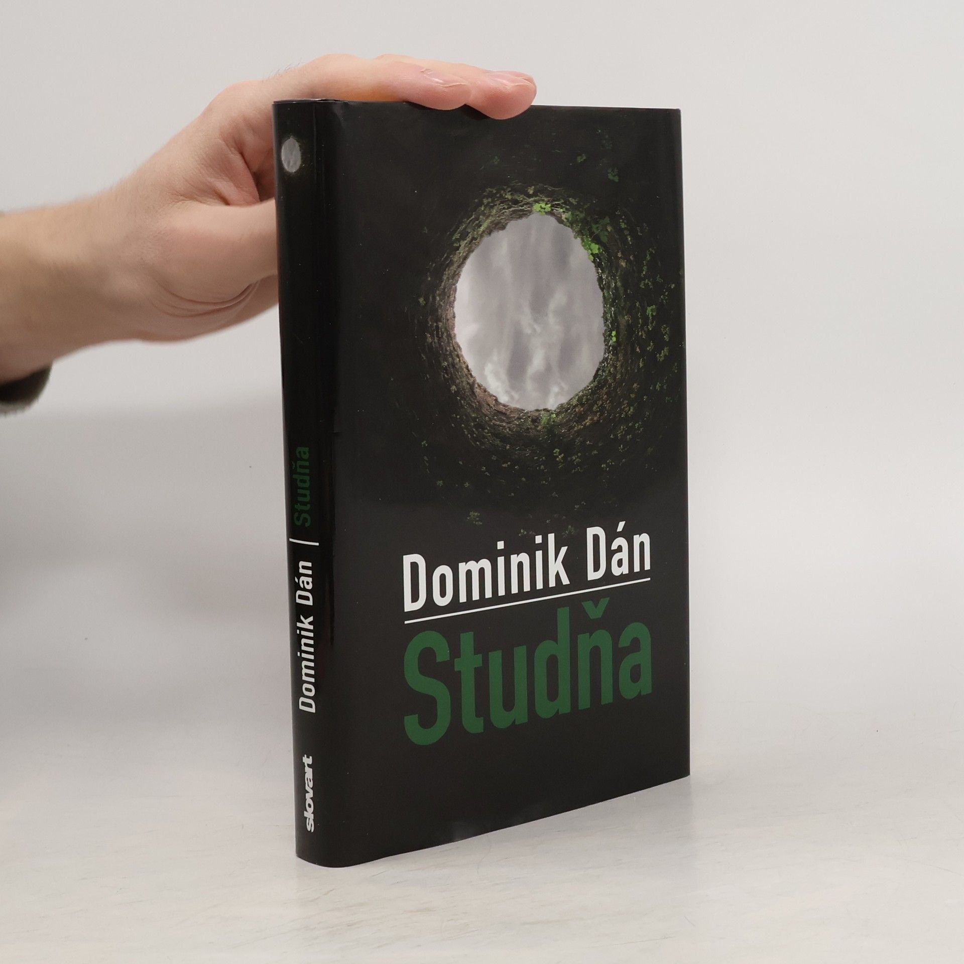 Dominik Dán Studňa