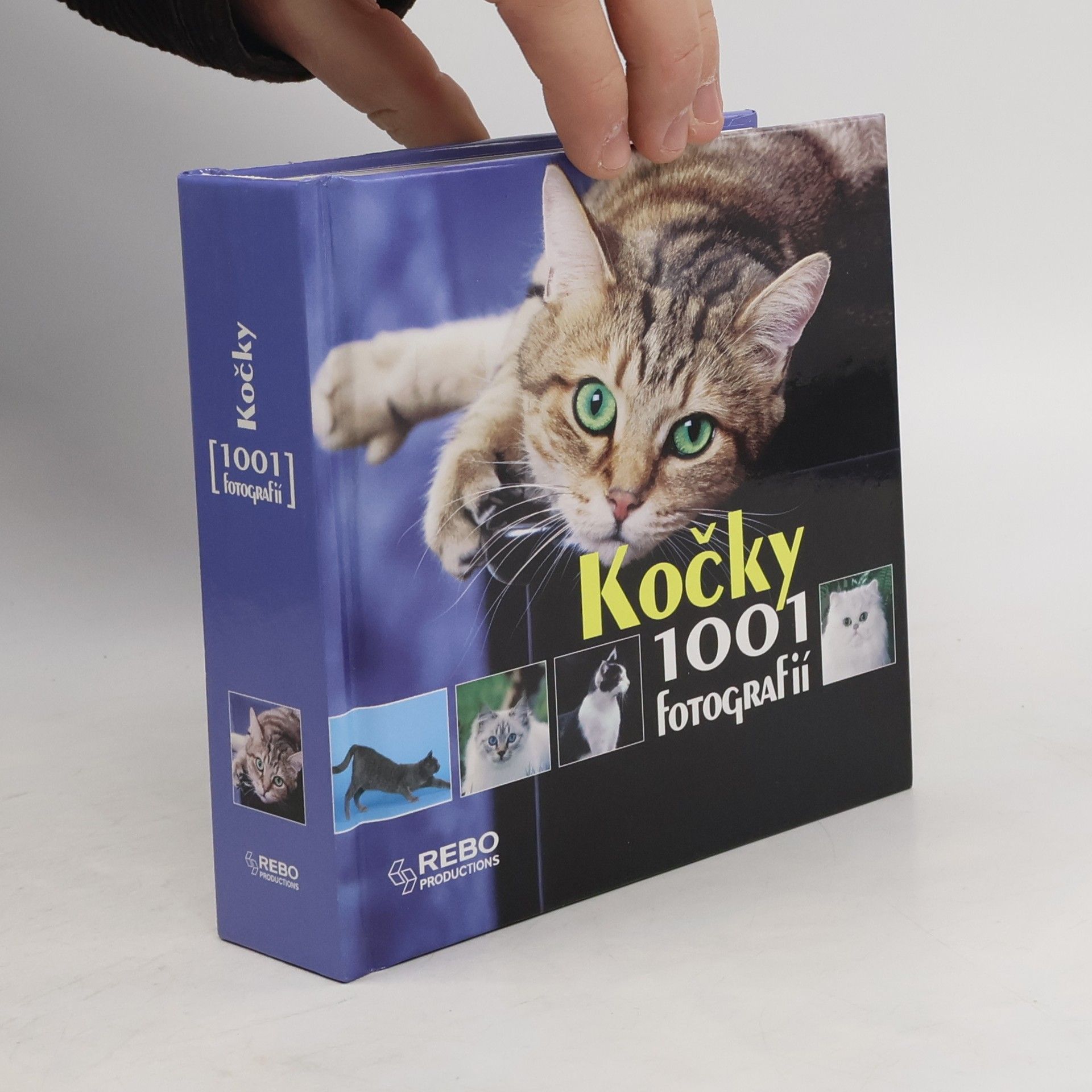 Yann Susic Kočky. 1001 fotografií