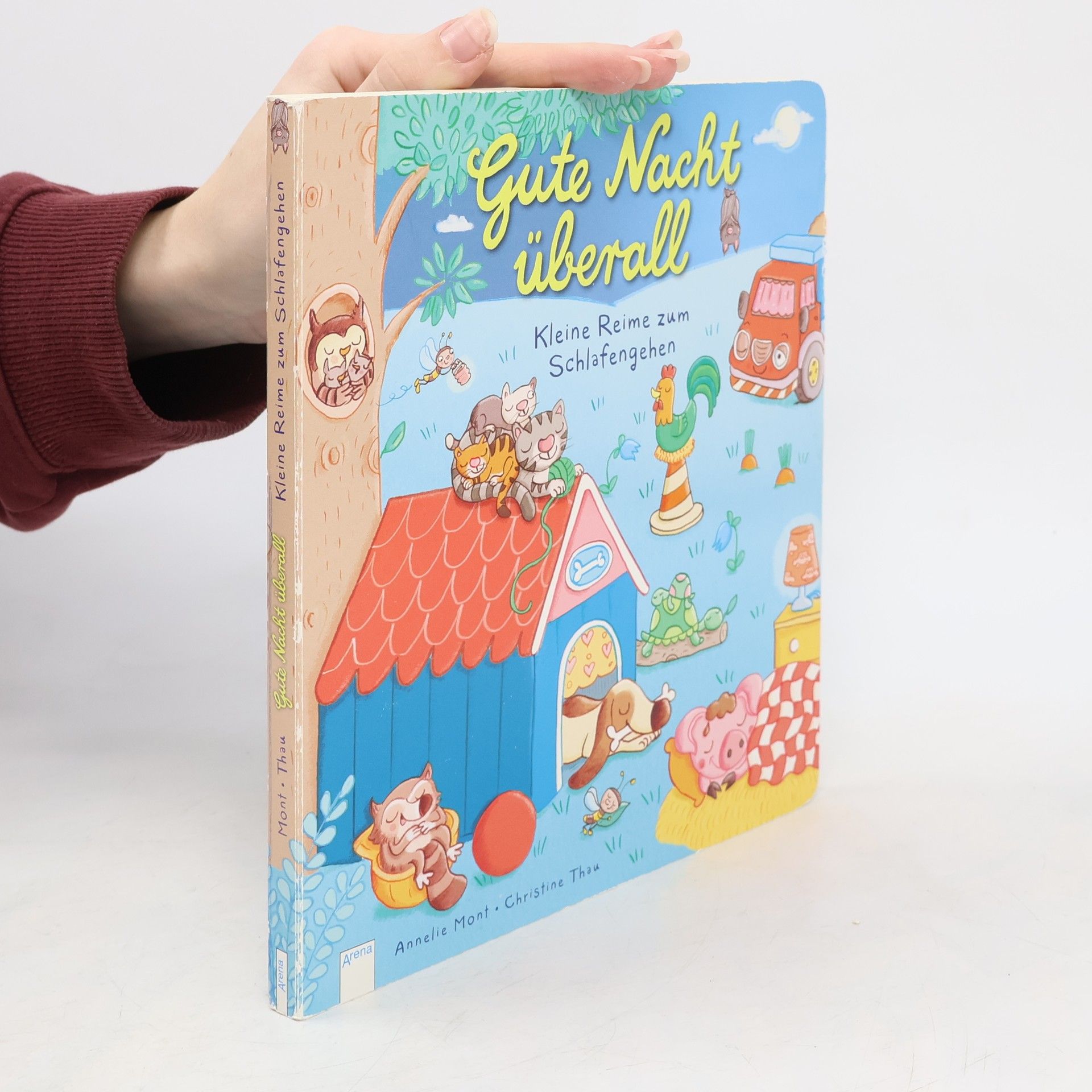 Gute Nacht überall. Kleine Reime zum Schlafengehen
