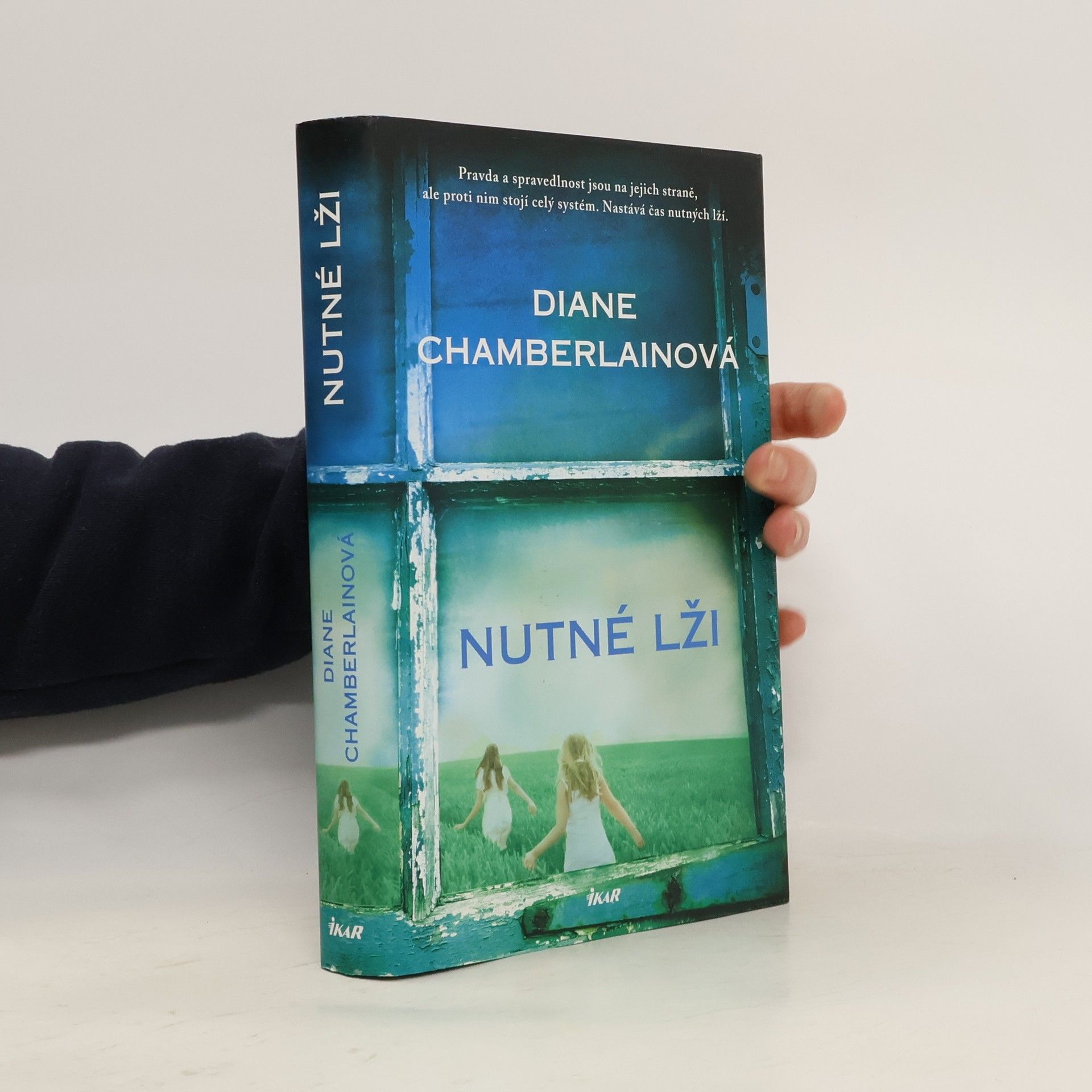 Diane Chamberlain Nutné lži