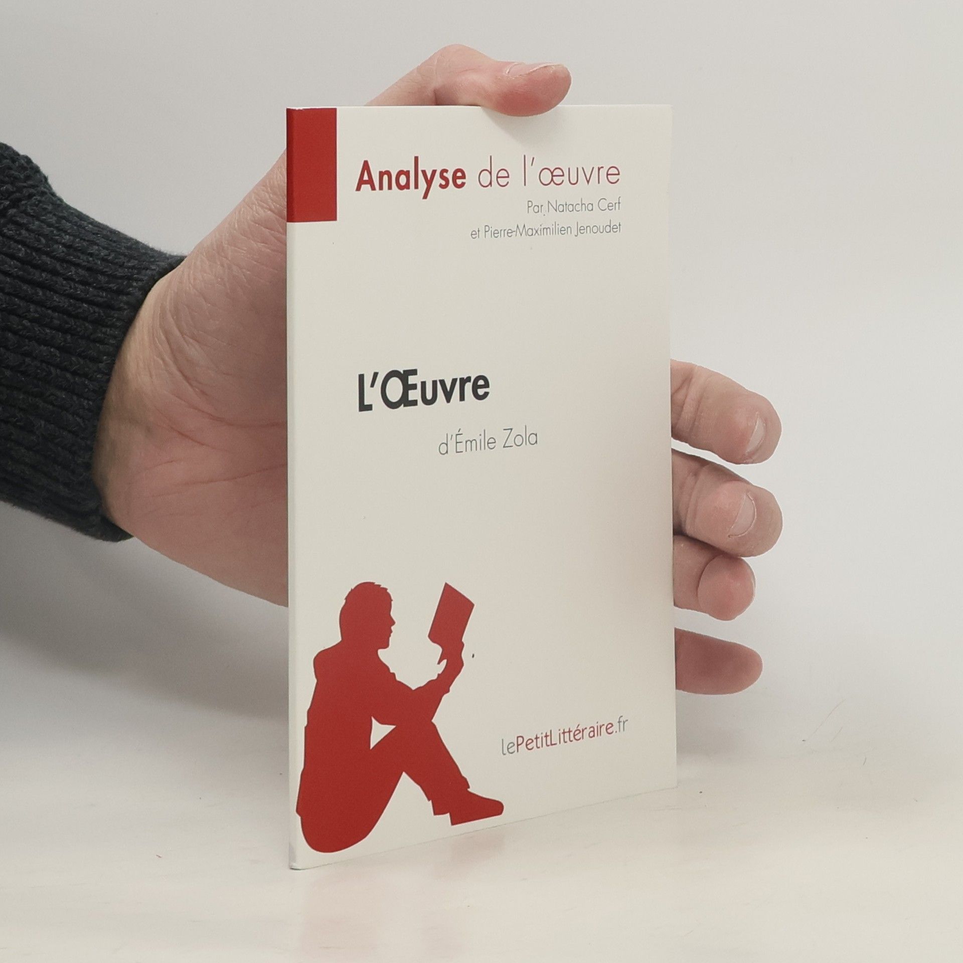 Collectif d'auteurs L'Oeuvre d'Émile Zola (Analyse de l'oeuvre)