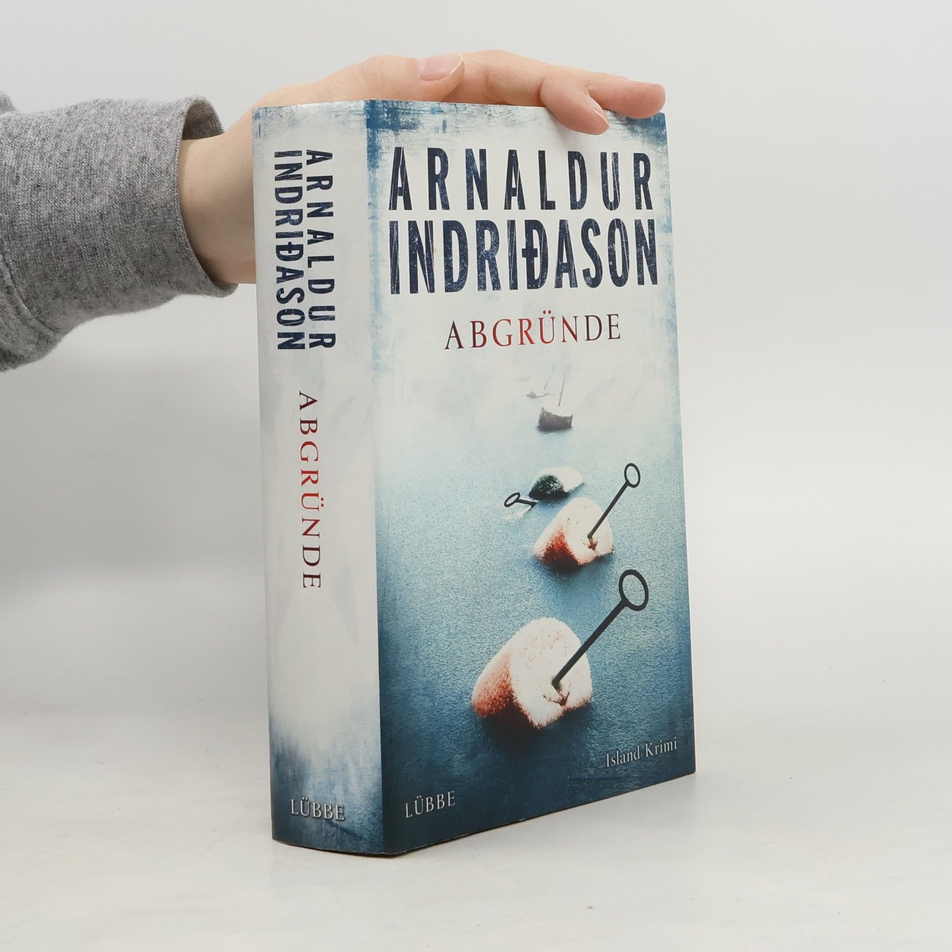 Arnaldur Indridason Abgründe