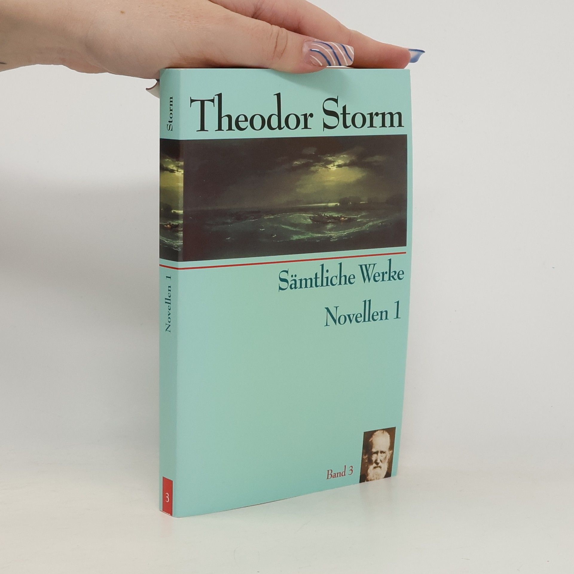 Theodor Storm Sämtliche Werke. Novellen 1, Band 3