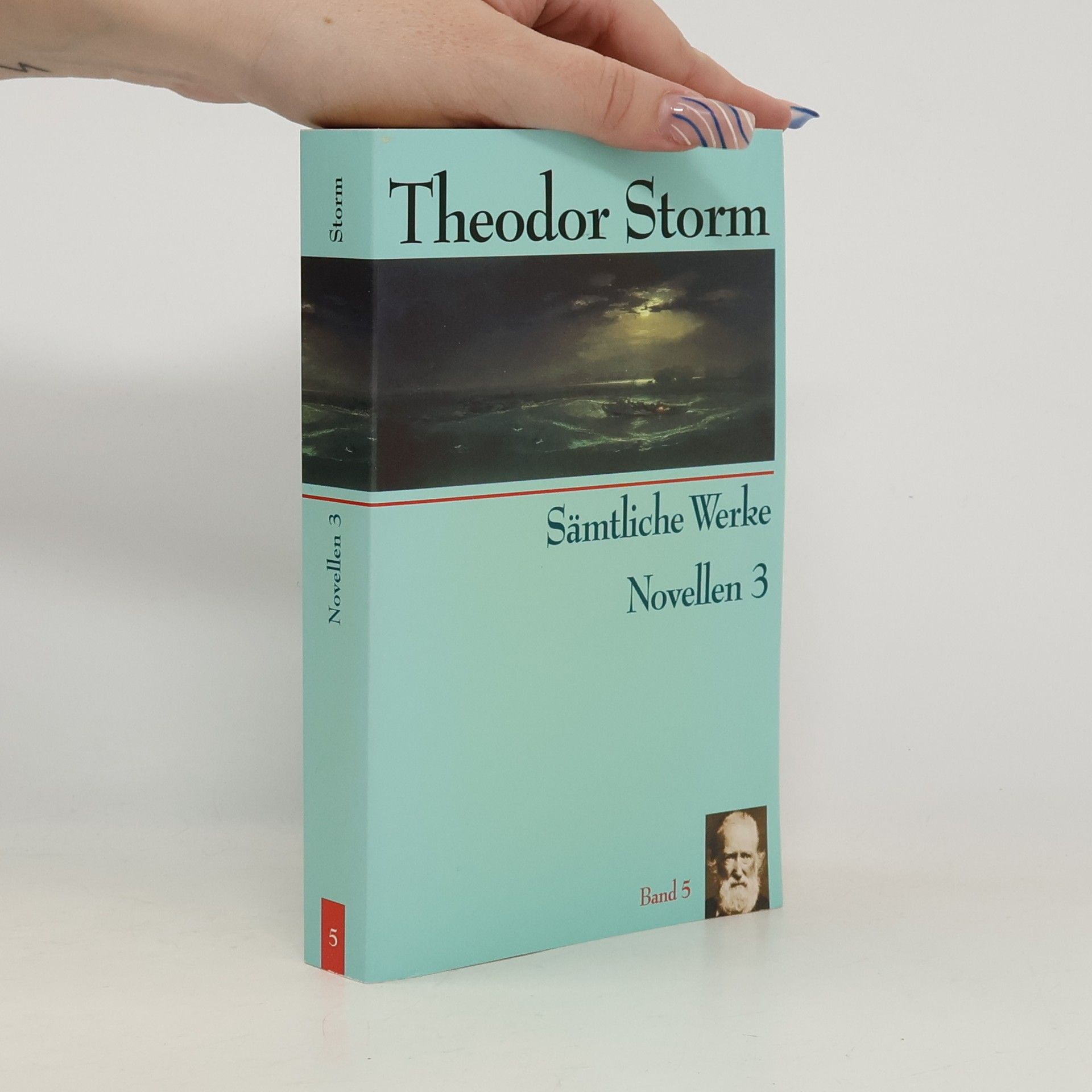 Theodor Storm Sämtliche Werke. Novellen 3, Band 5