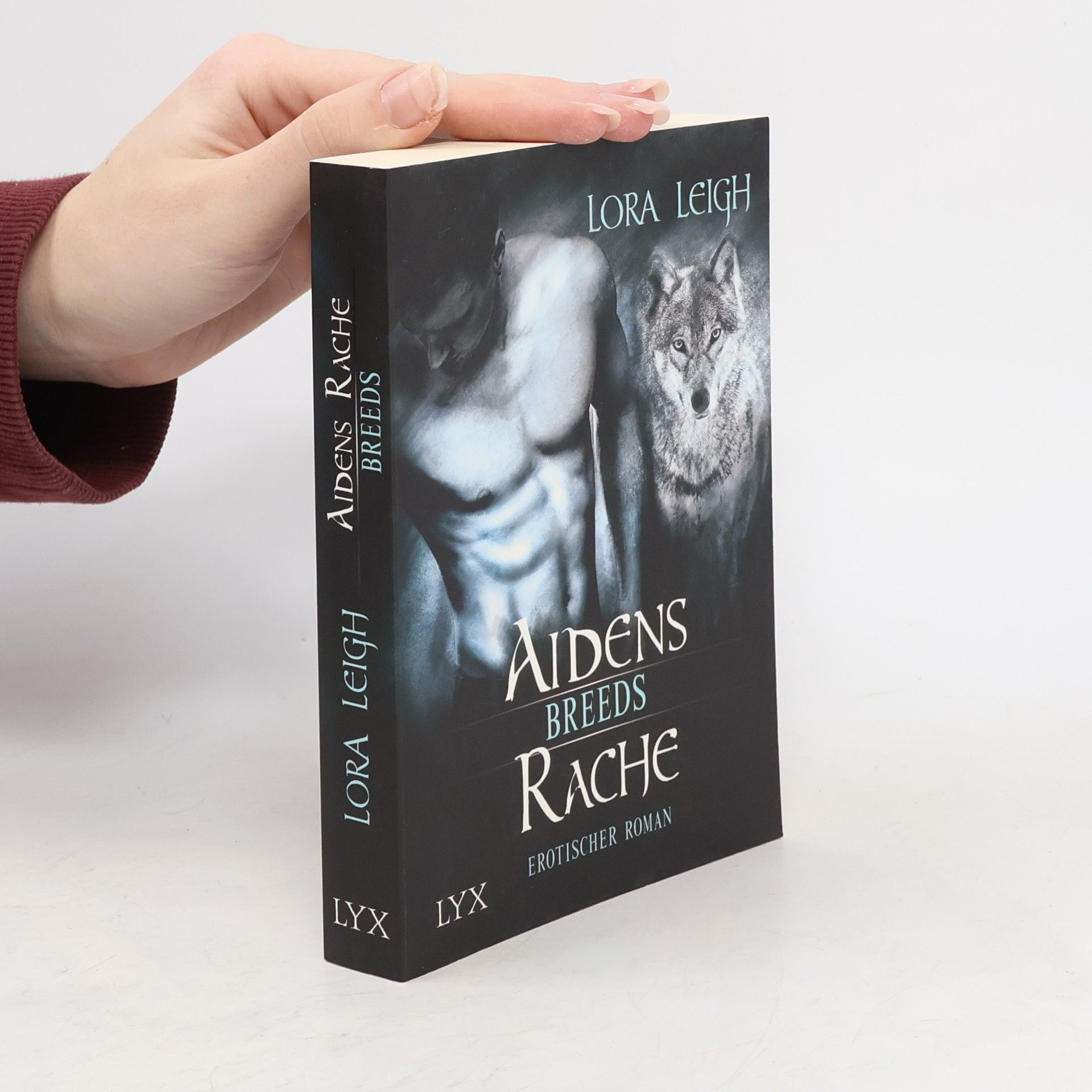 Lora Leigh Aidens Rache