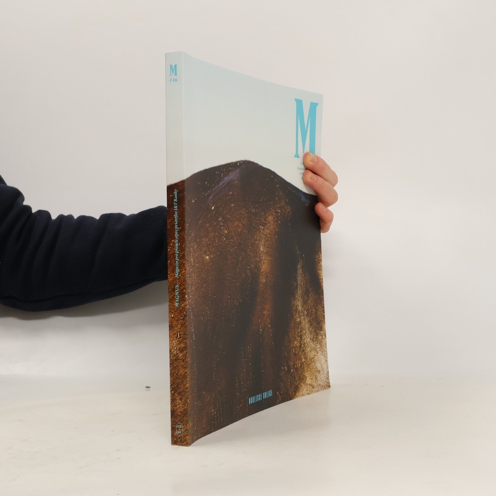 AA.VV. Magnus 16