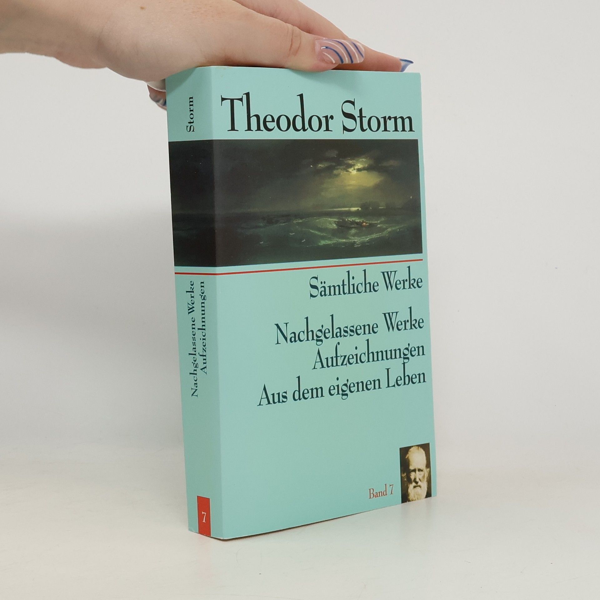 Theodor Storm Sämtliche Werke. Band 7