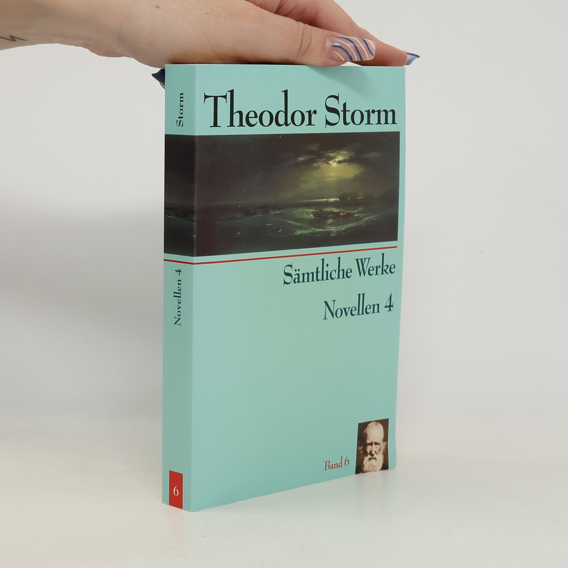 Theodor Storm Sämtliche Werke (Novellen 4) 6