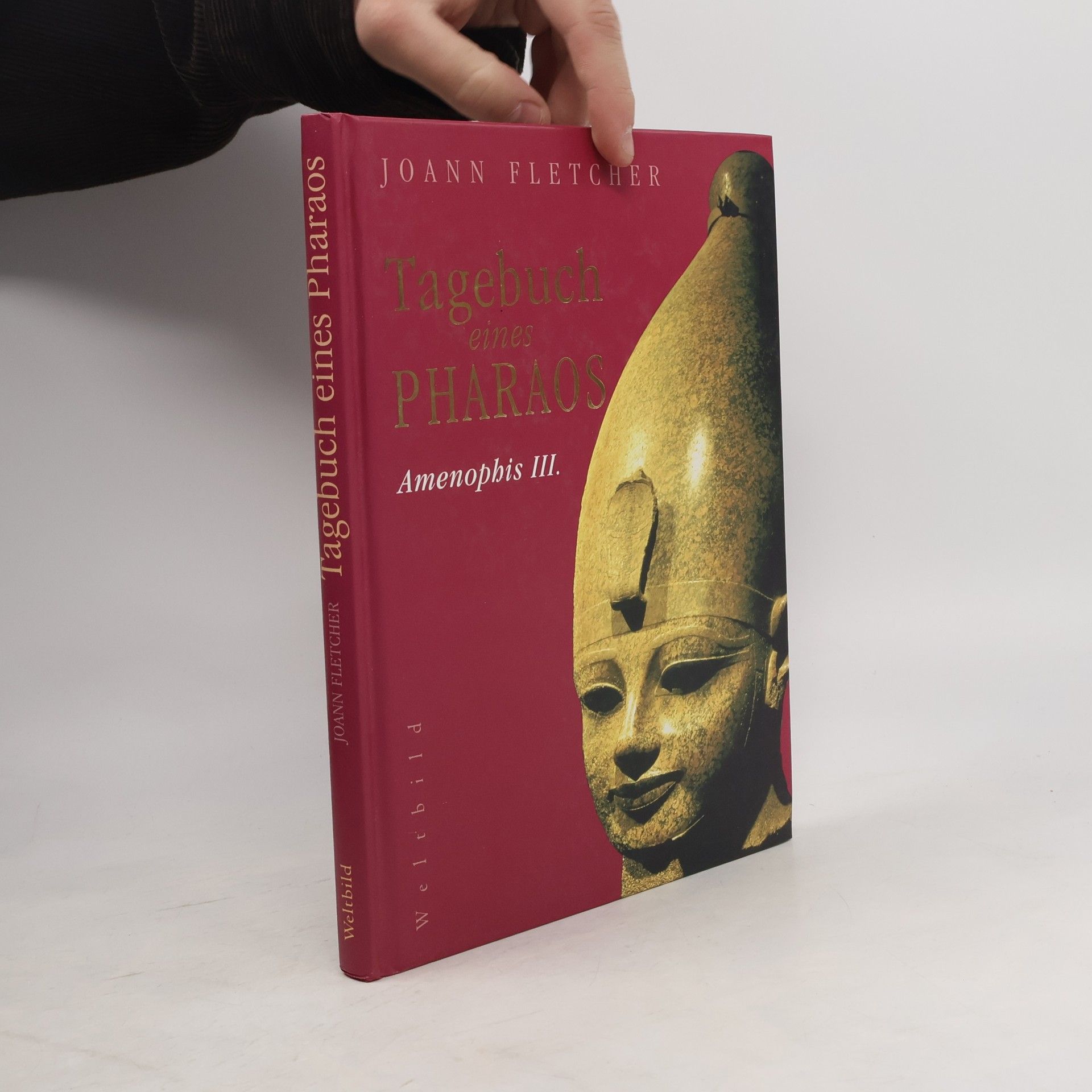 Tagebuch eines Pharaos: Amenophis III.