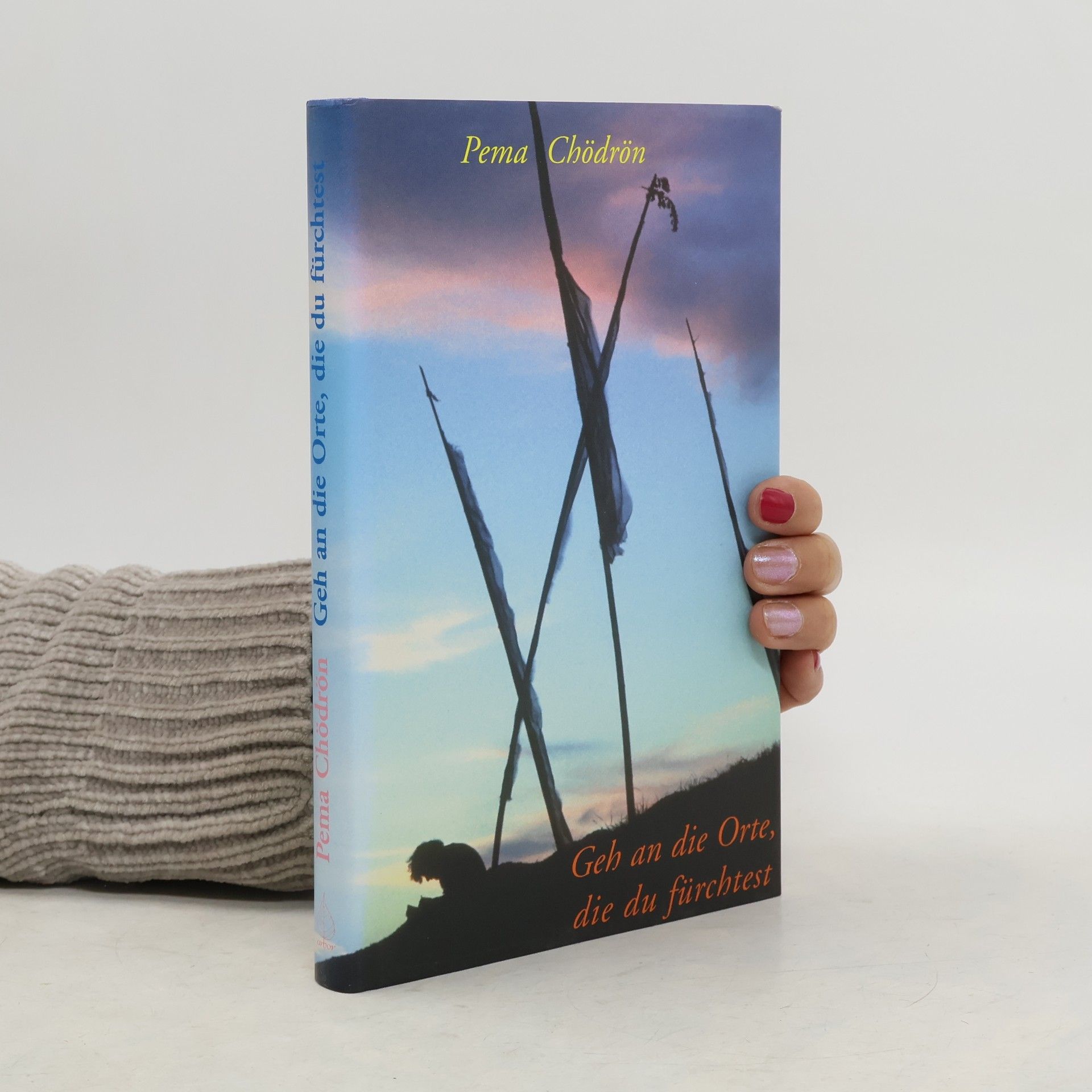 Pema Chödrön Geh an die Orte, die du fürchtest