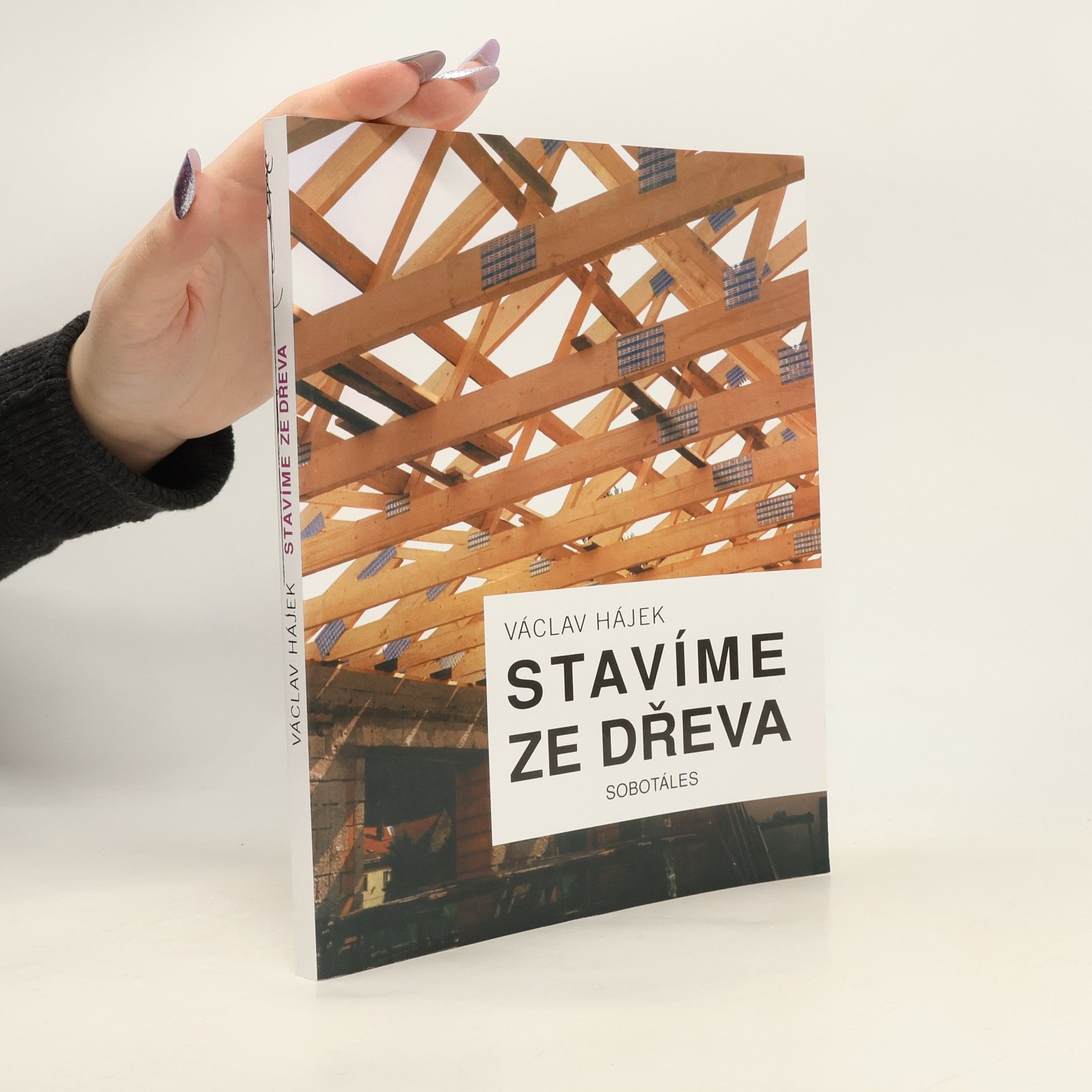 Václav Hájek Stavíme ze dřeva