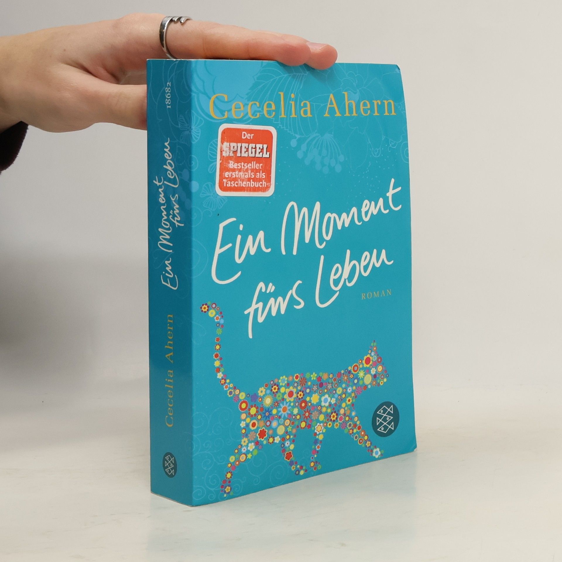 Cecelia Ahern Ein Moment fürs Leben