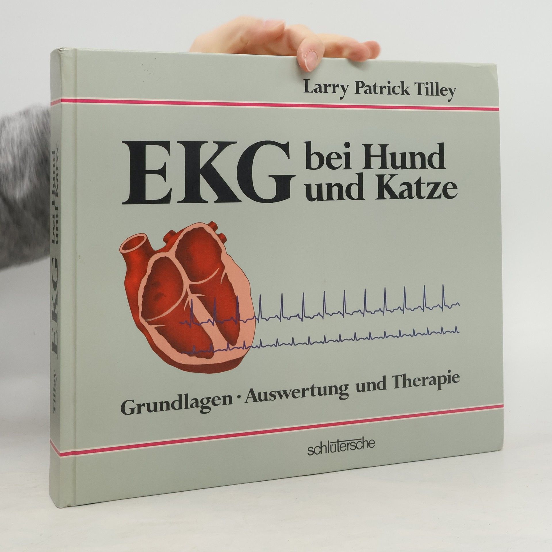 EKG bei Hunde und Katzen