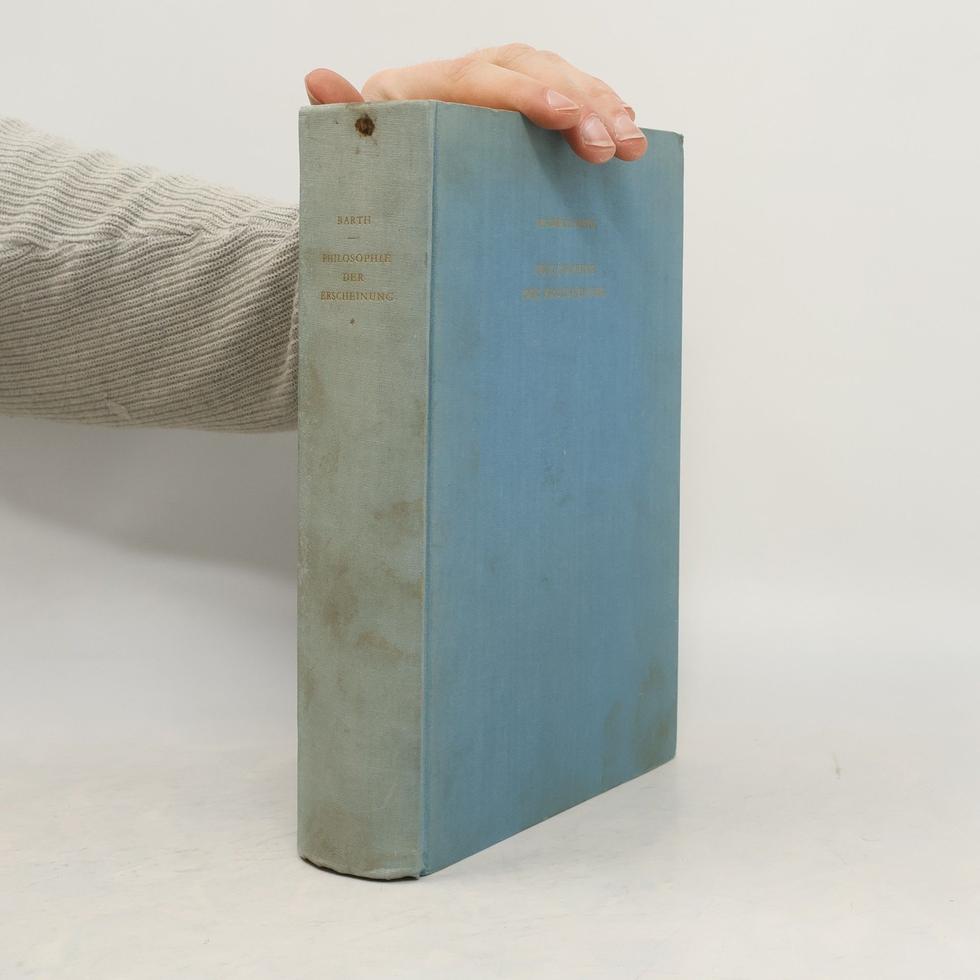 Philosophie der Erscheinung eine Problemgeschichte, Zweiter Teil