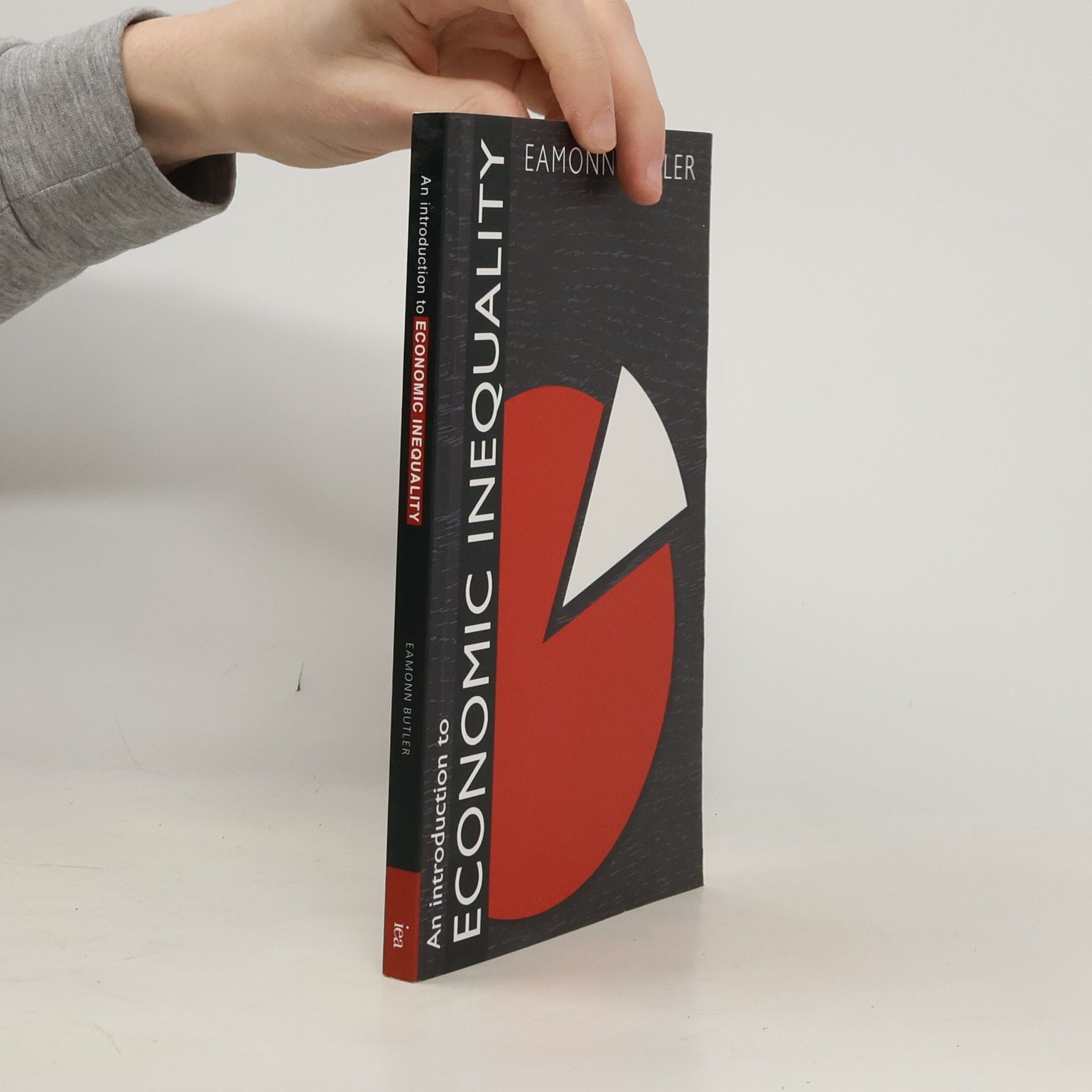 Introduction to Economic Inequality