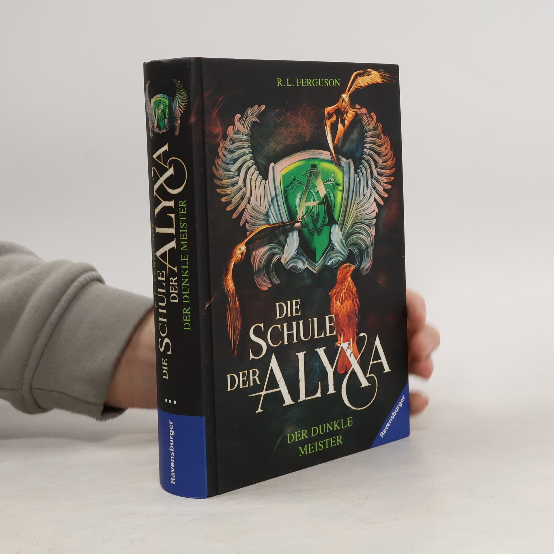 R.L. Ferguson Der dunkle Meister