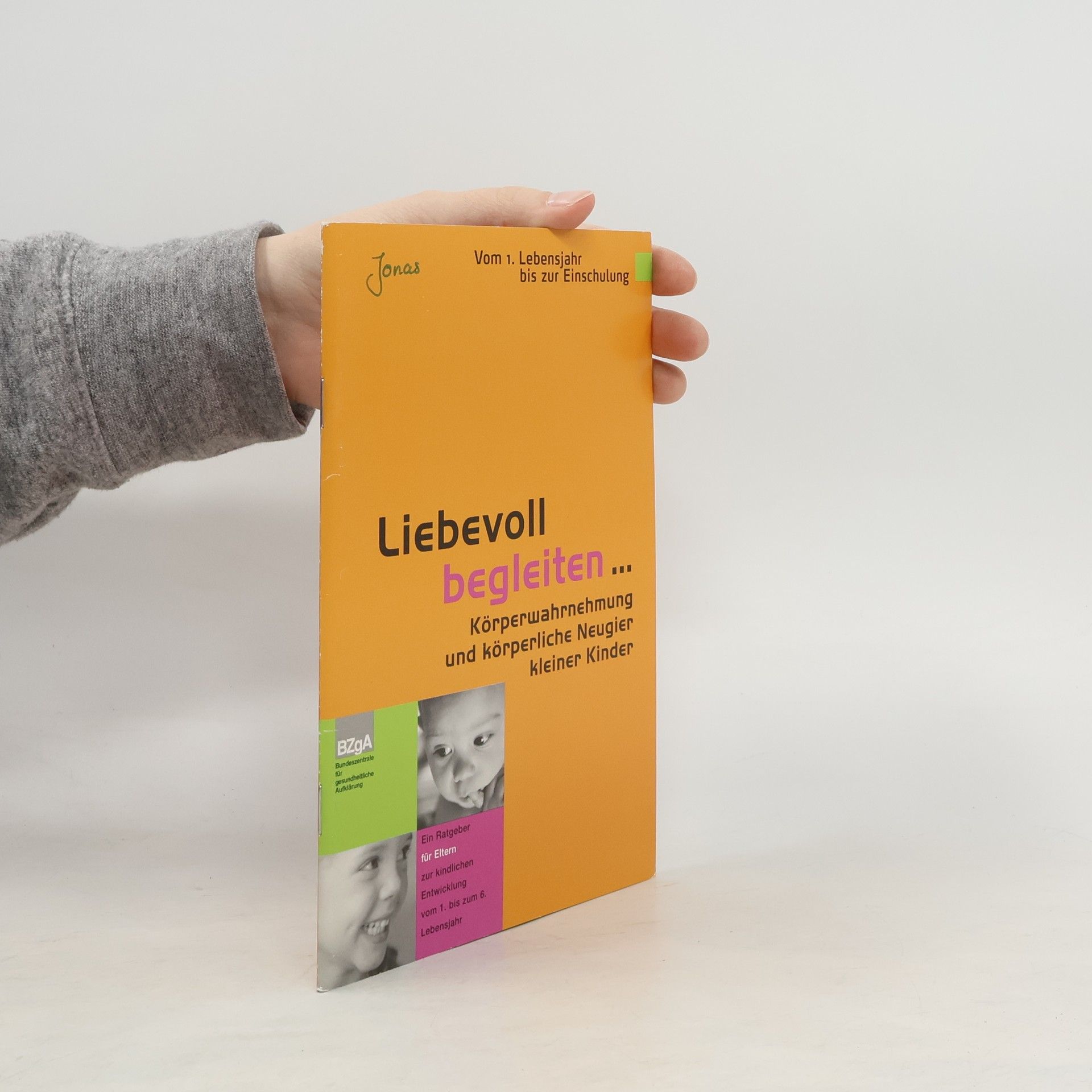 Kolektív autorov Liebevoll begleiten...