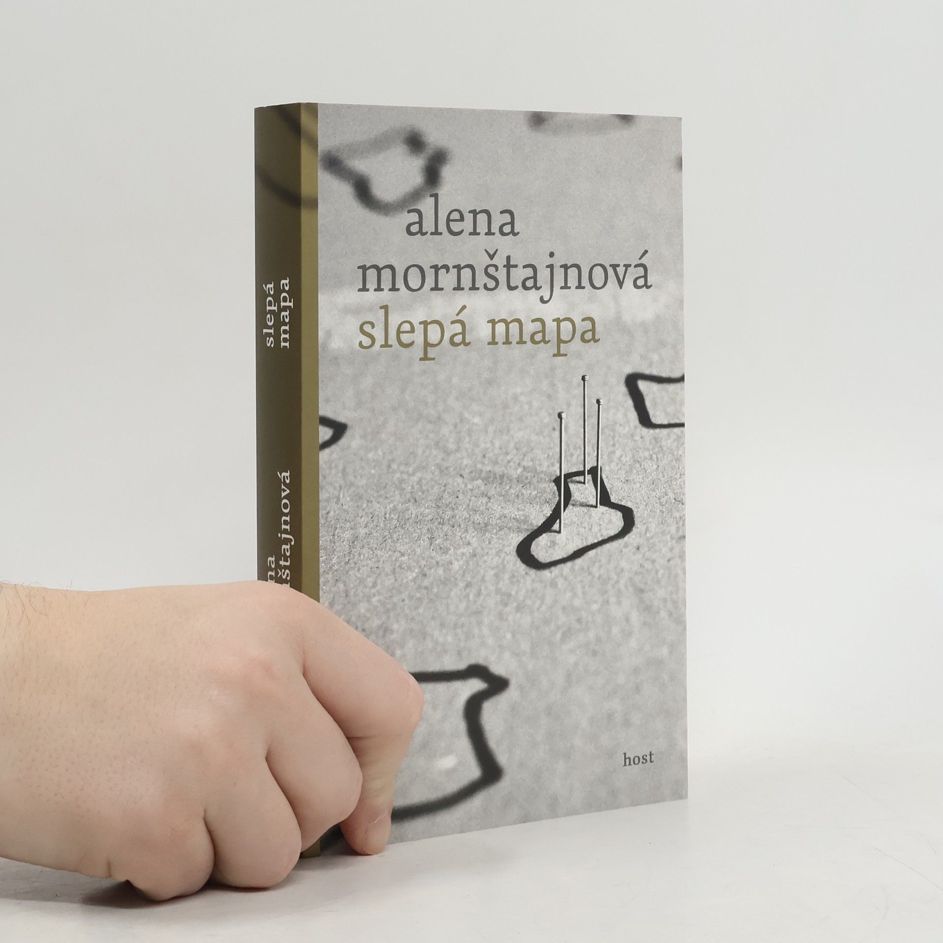 Alena Mornštajnová Slepá mapa