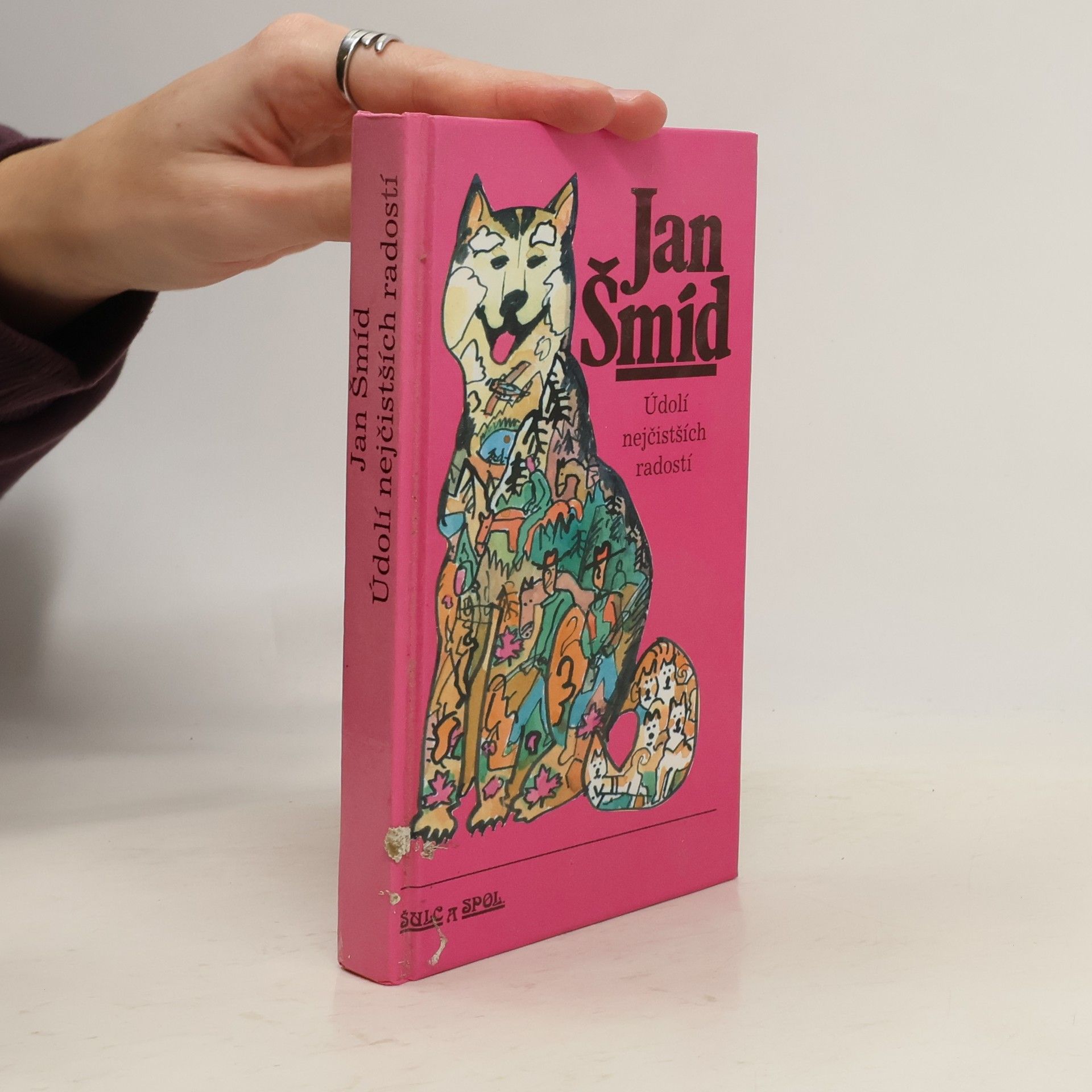 Údolí nejčistších radostí