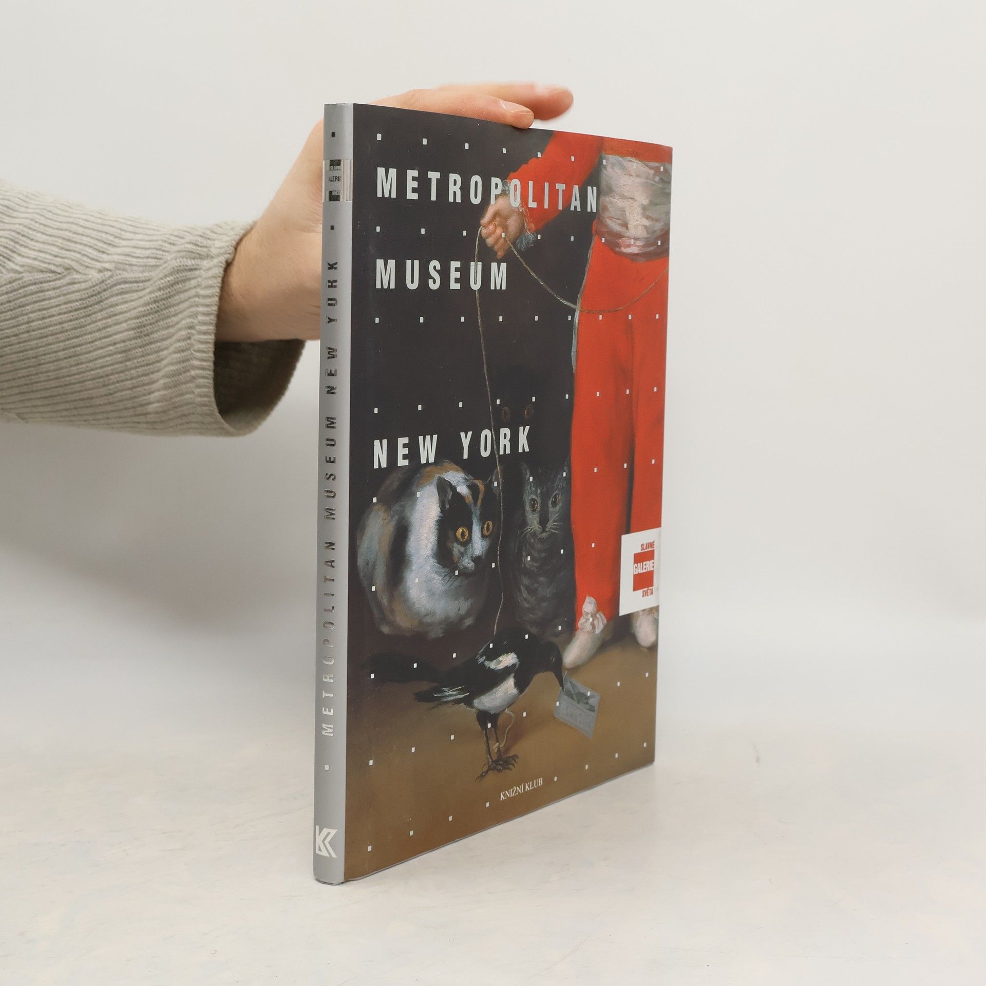 Lucia Impelluso Slavné galerie světa. Metropolitan Museum - New York