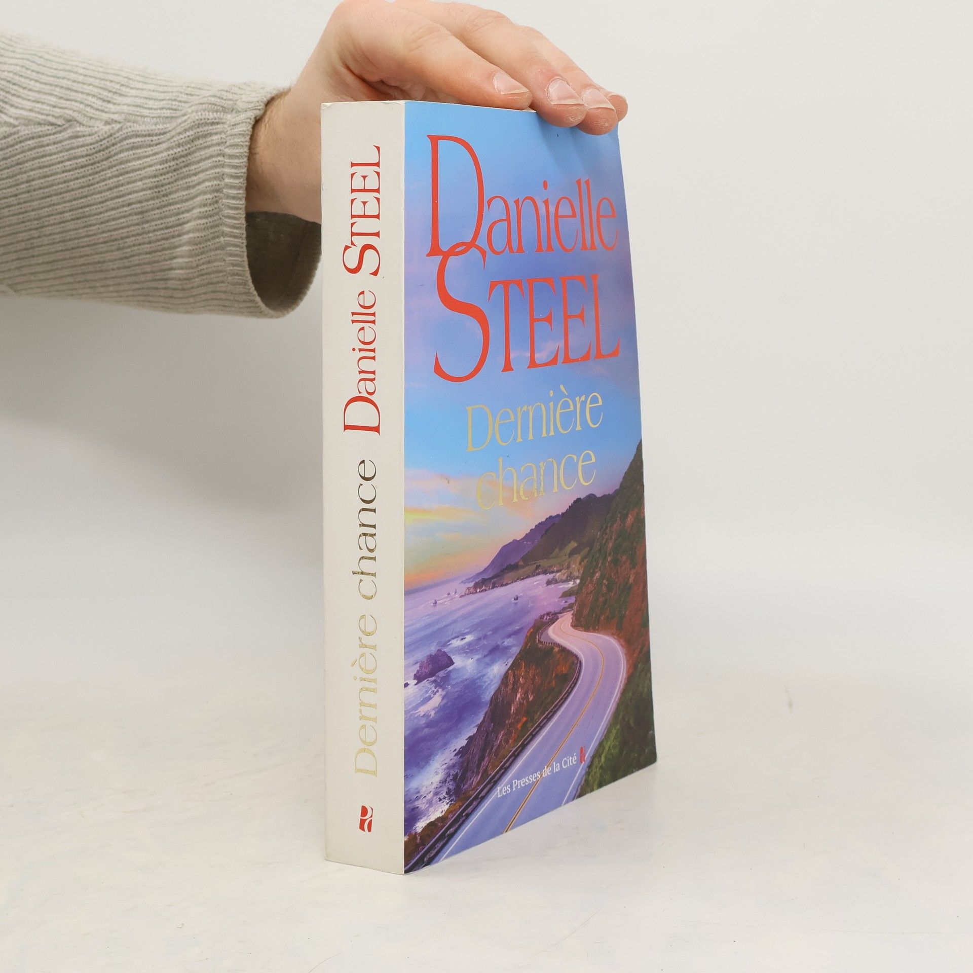 Danielle Steel Dernière chance