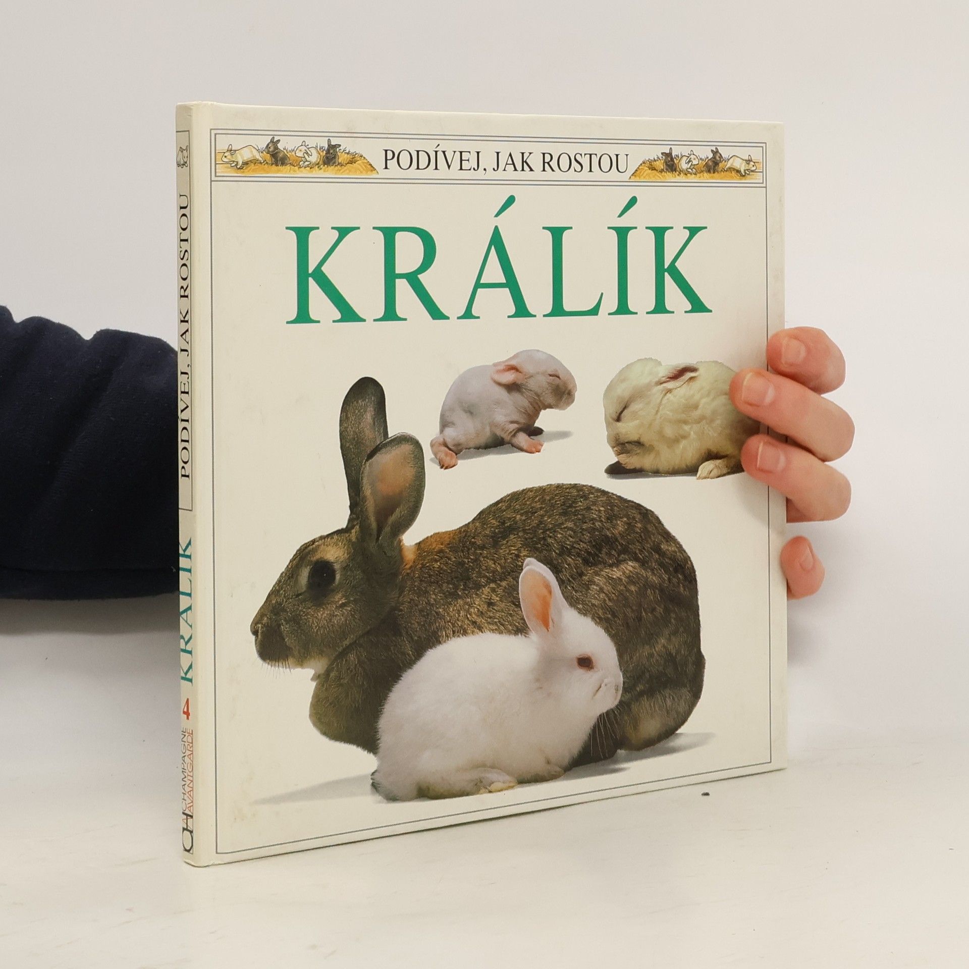 Barrie Watts Králík