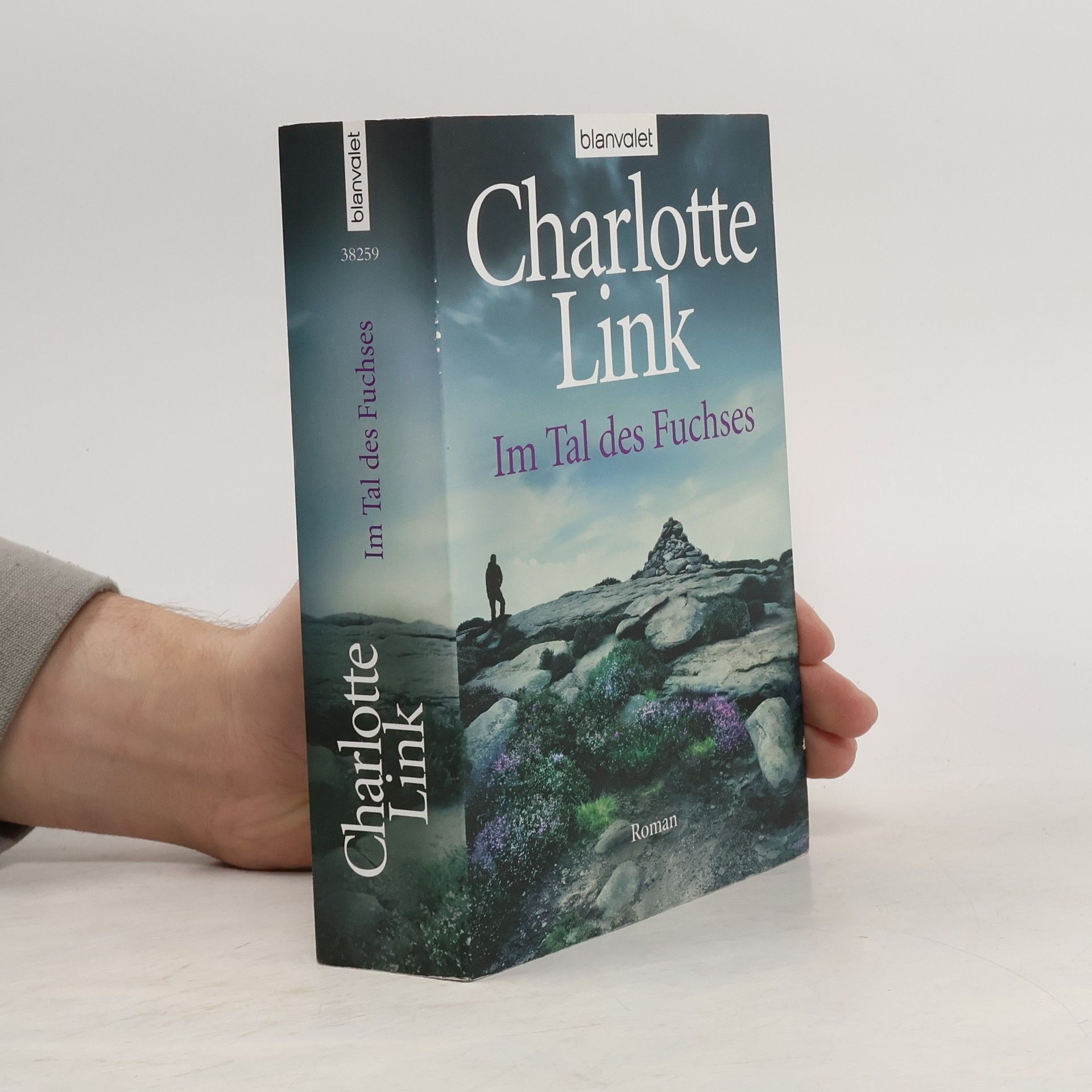 Charlotte Link Im Tal des Fuchses