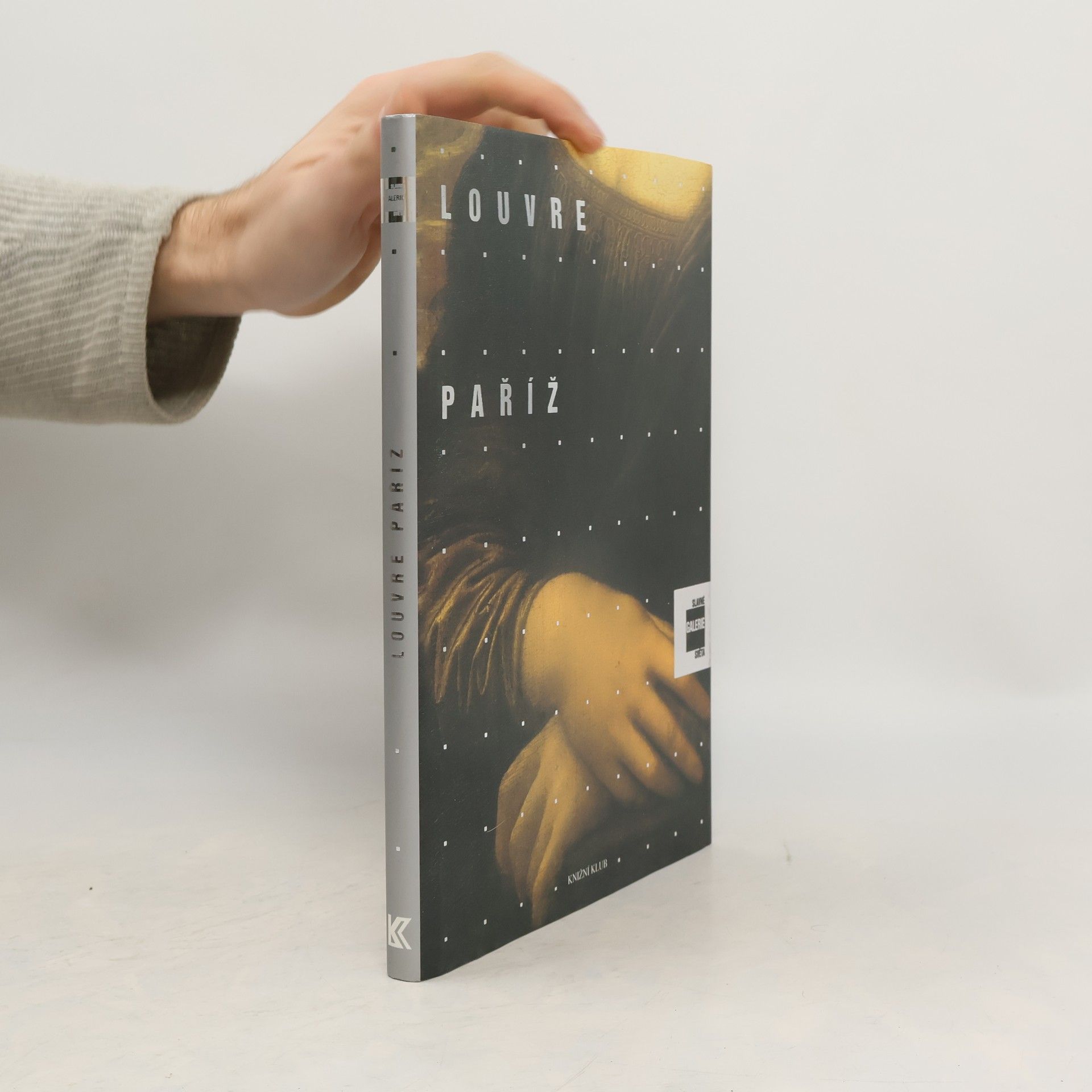 Alessandra Fregolent Slavné galerie světa. Louvre - Paříž