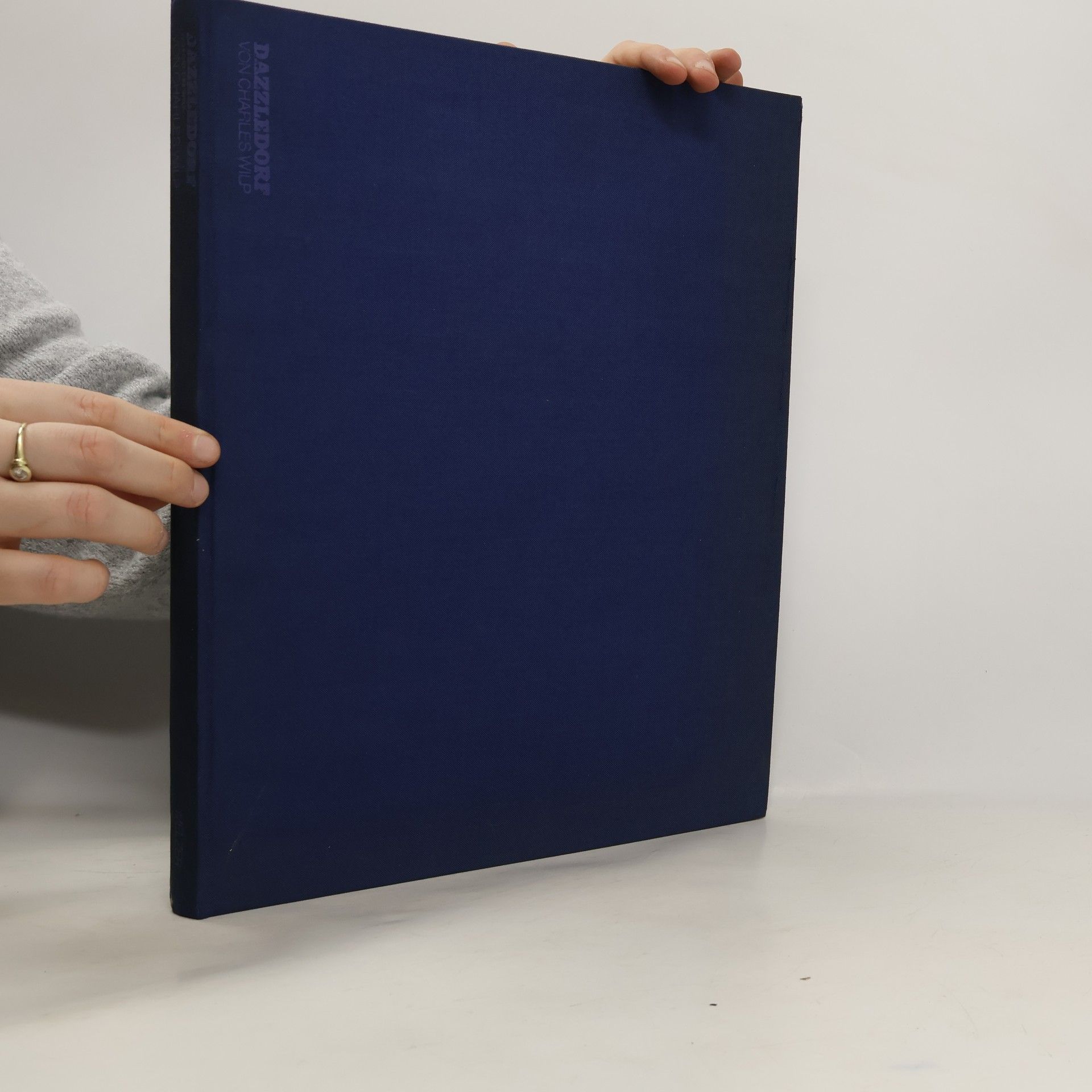 Charles Wilp Dazzledorf