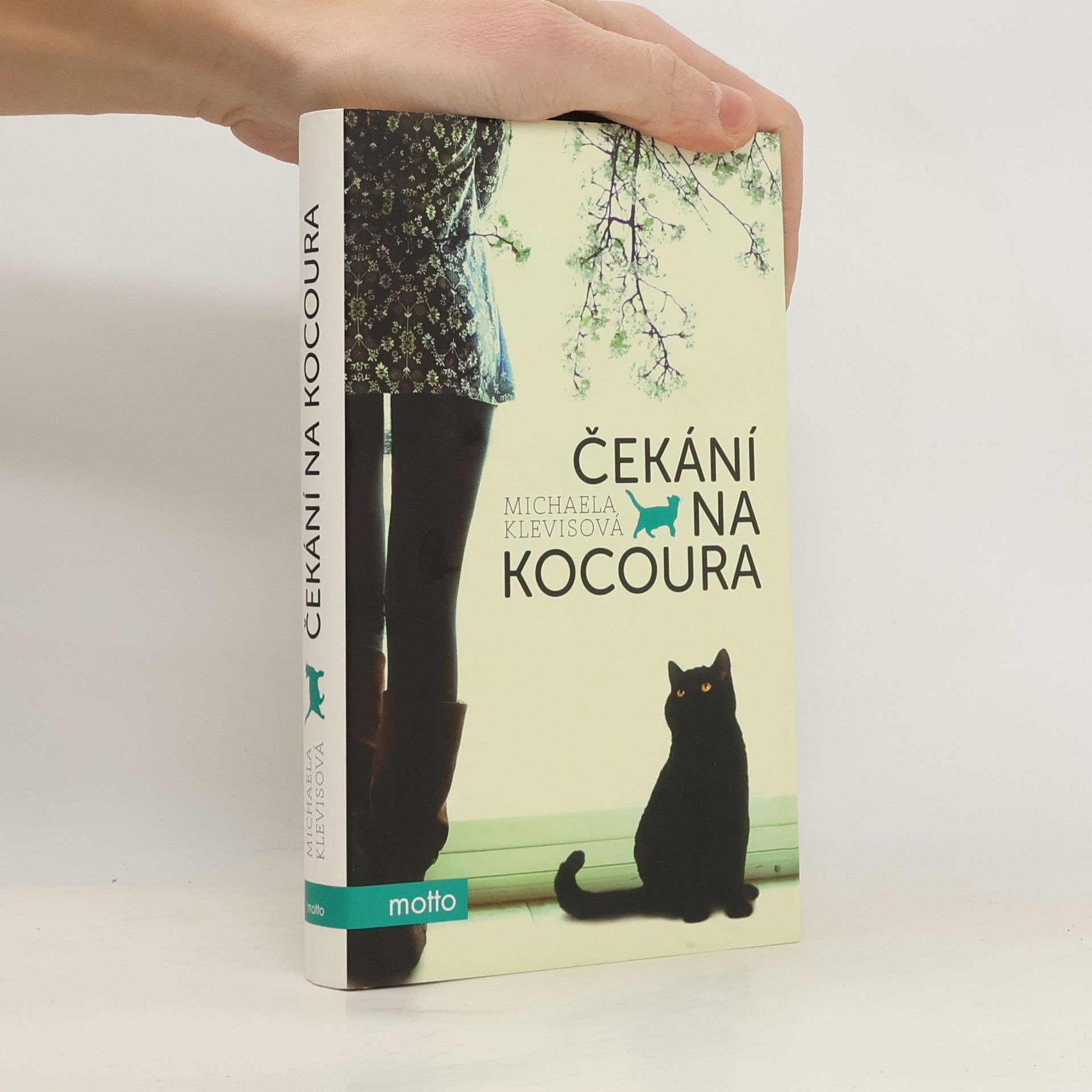 Michaela Klevisová Čekání na kocoura: Příběhy o kočkách a jejich lidech
