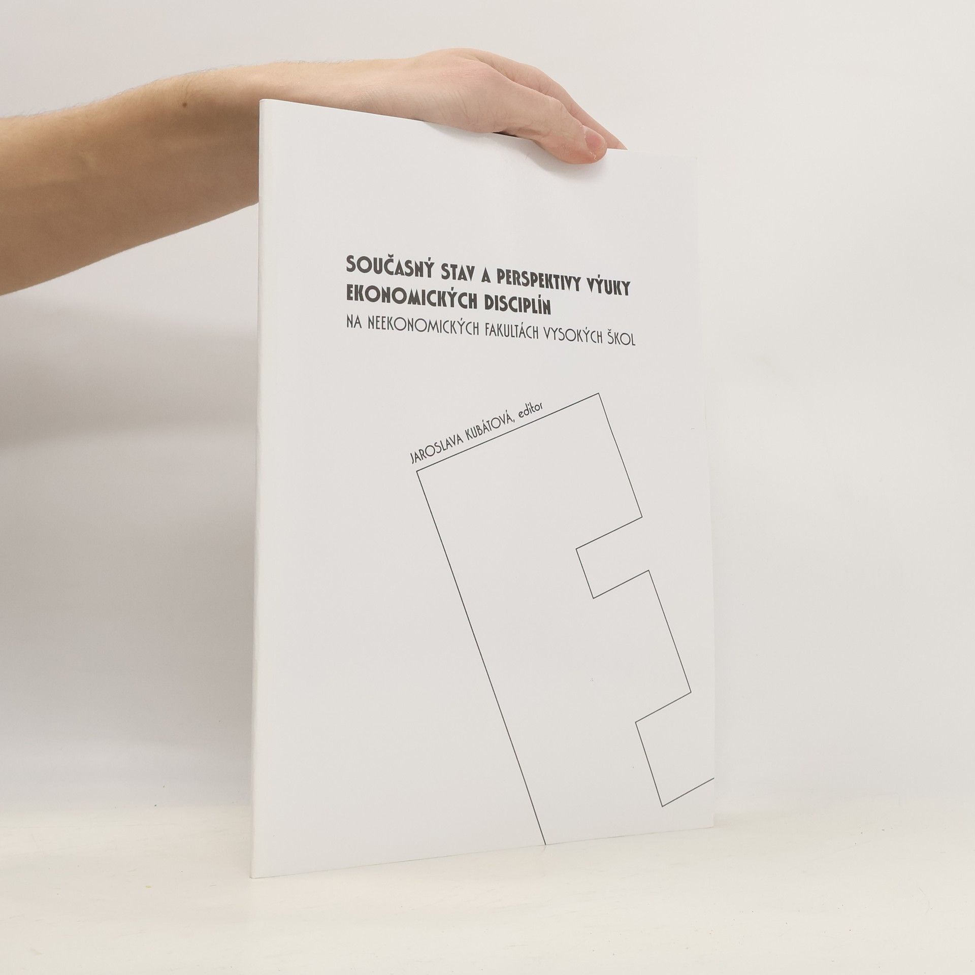 Současný stav a perspektivy výuky ekonomických disciplín na neekonomických fakultách vysokých škol