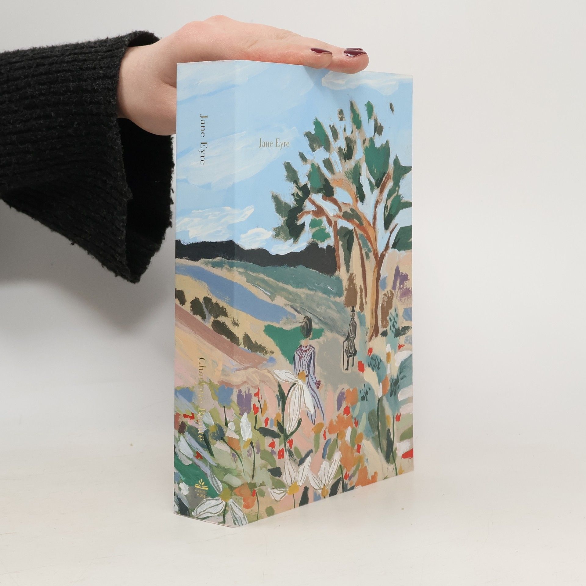 Charlotte Brontëová Jane Eyre (Painted Edition)