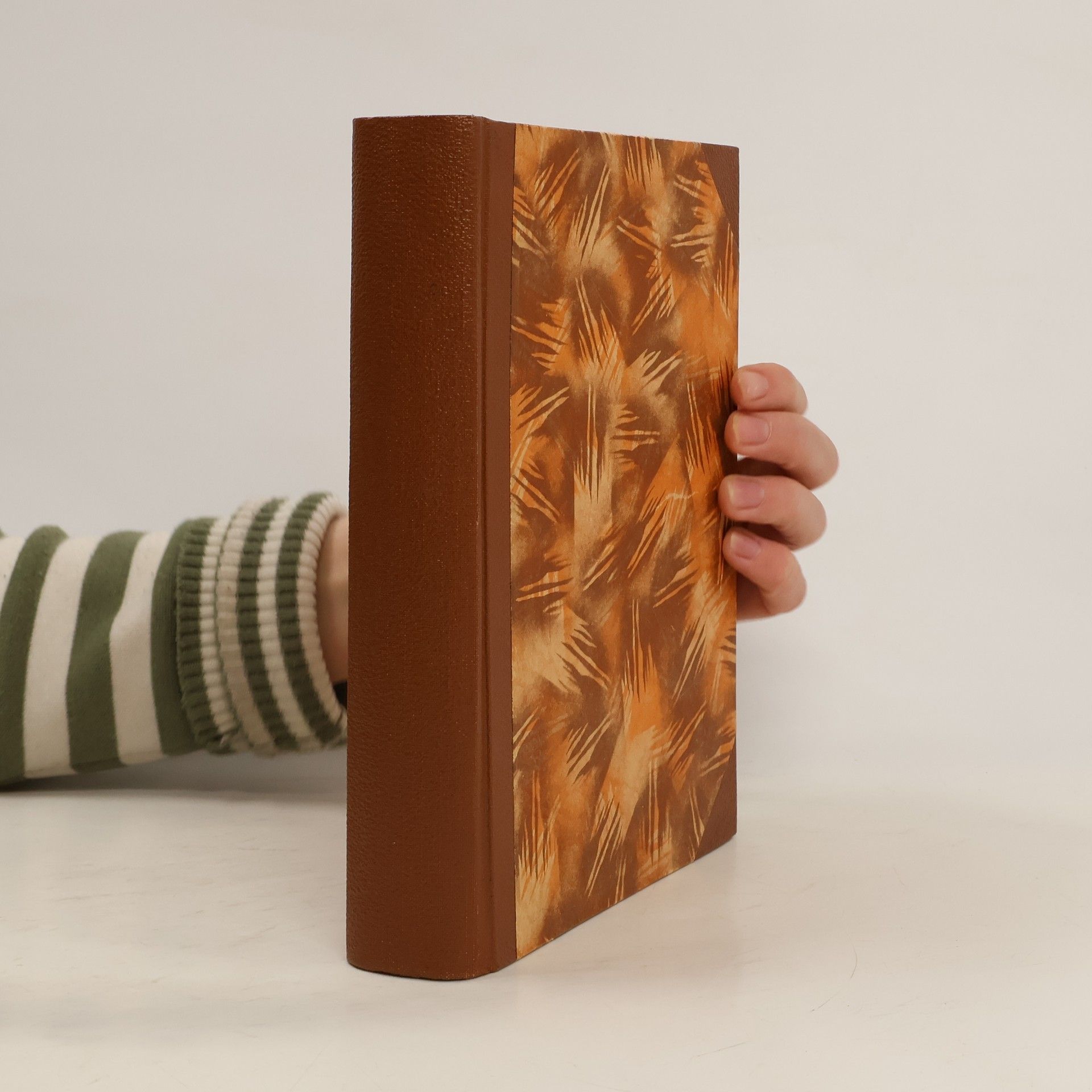 Johan Olofsson Turi Das Buch des Lappen Johan Turi