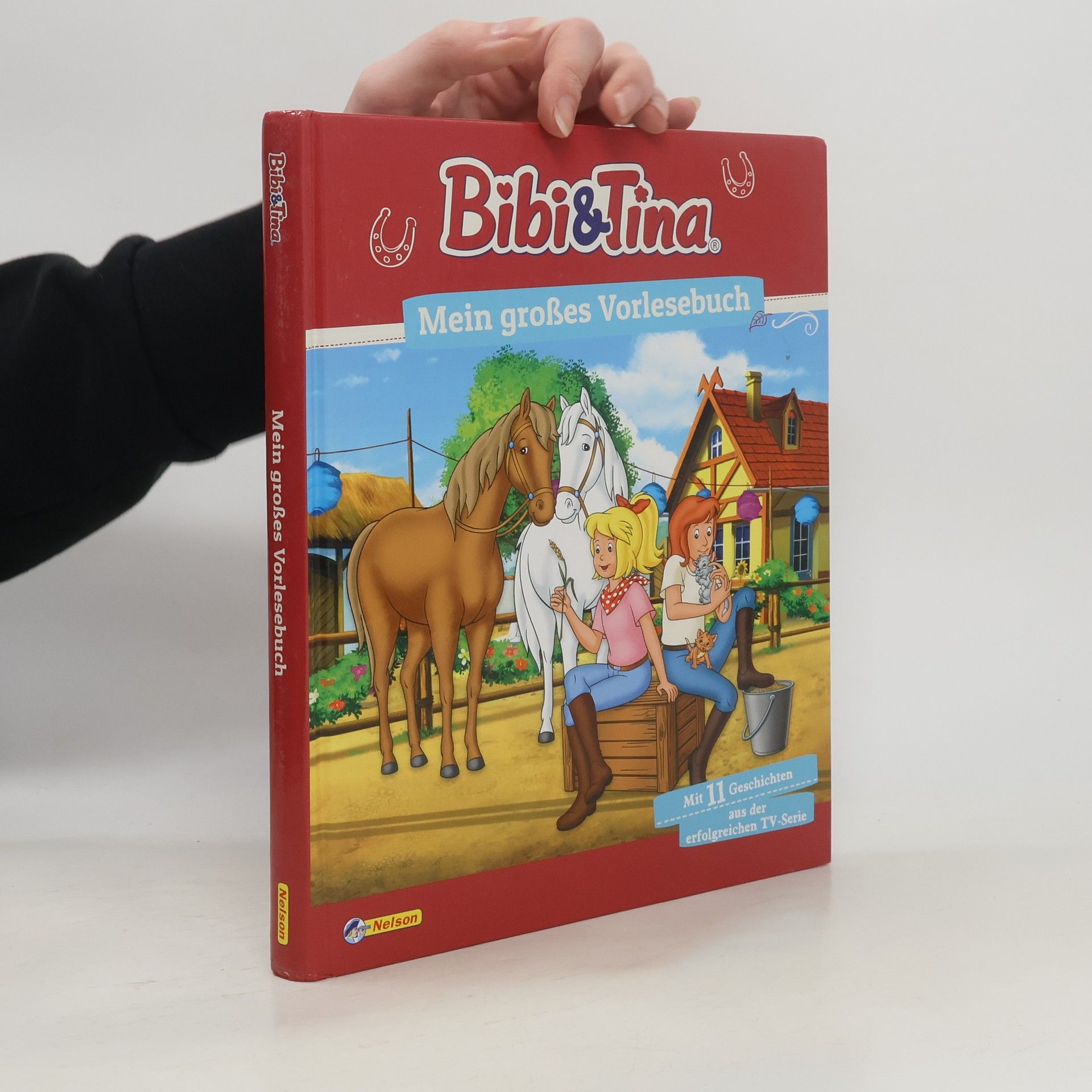 Autorenkollektiv Bibi und Tina - mein großes Vorlesebuch