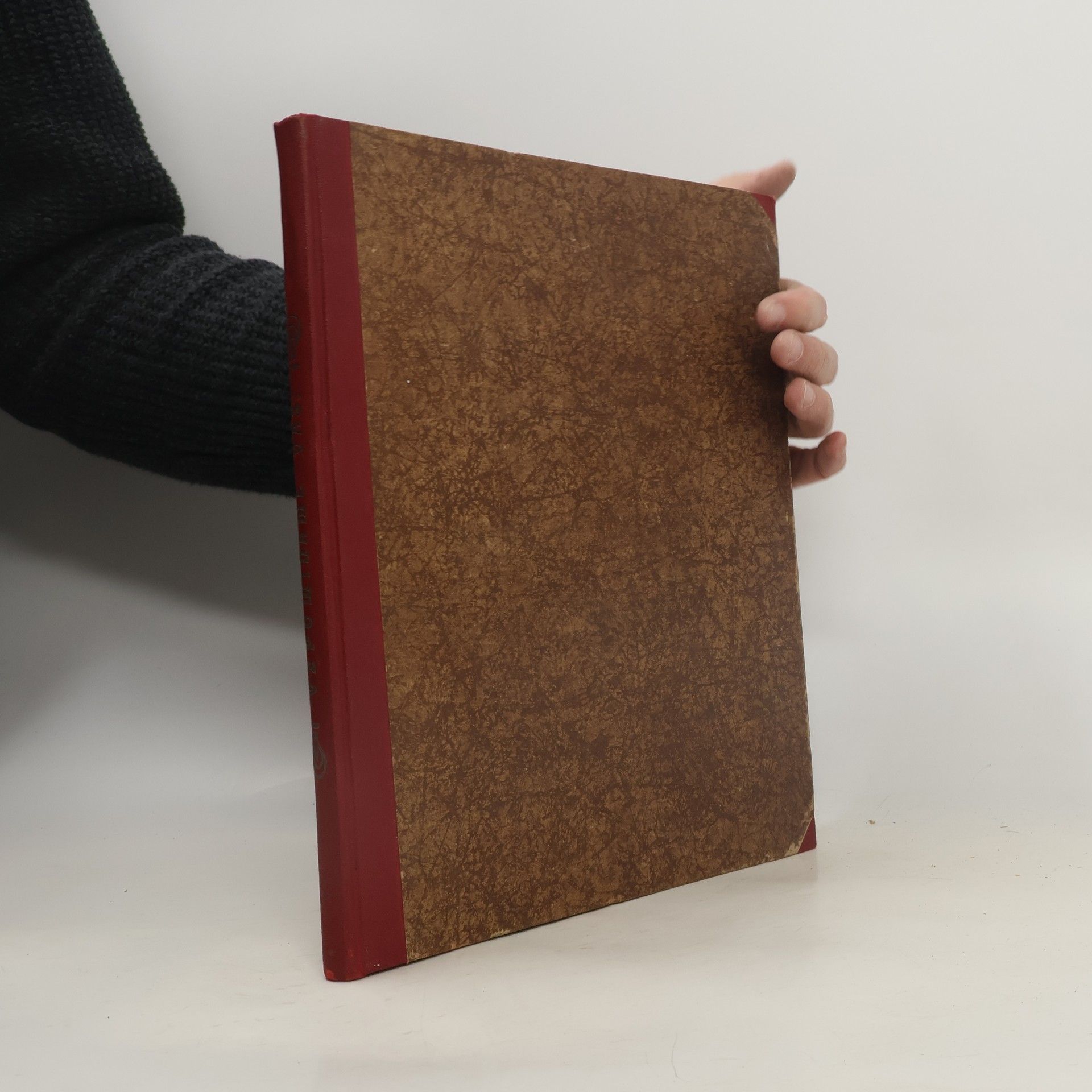 Autorenkollektiv Vzpomínáme vás...bohatýrům Balkánu čeští spisovatelé a umělci