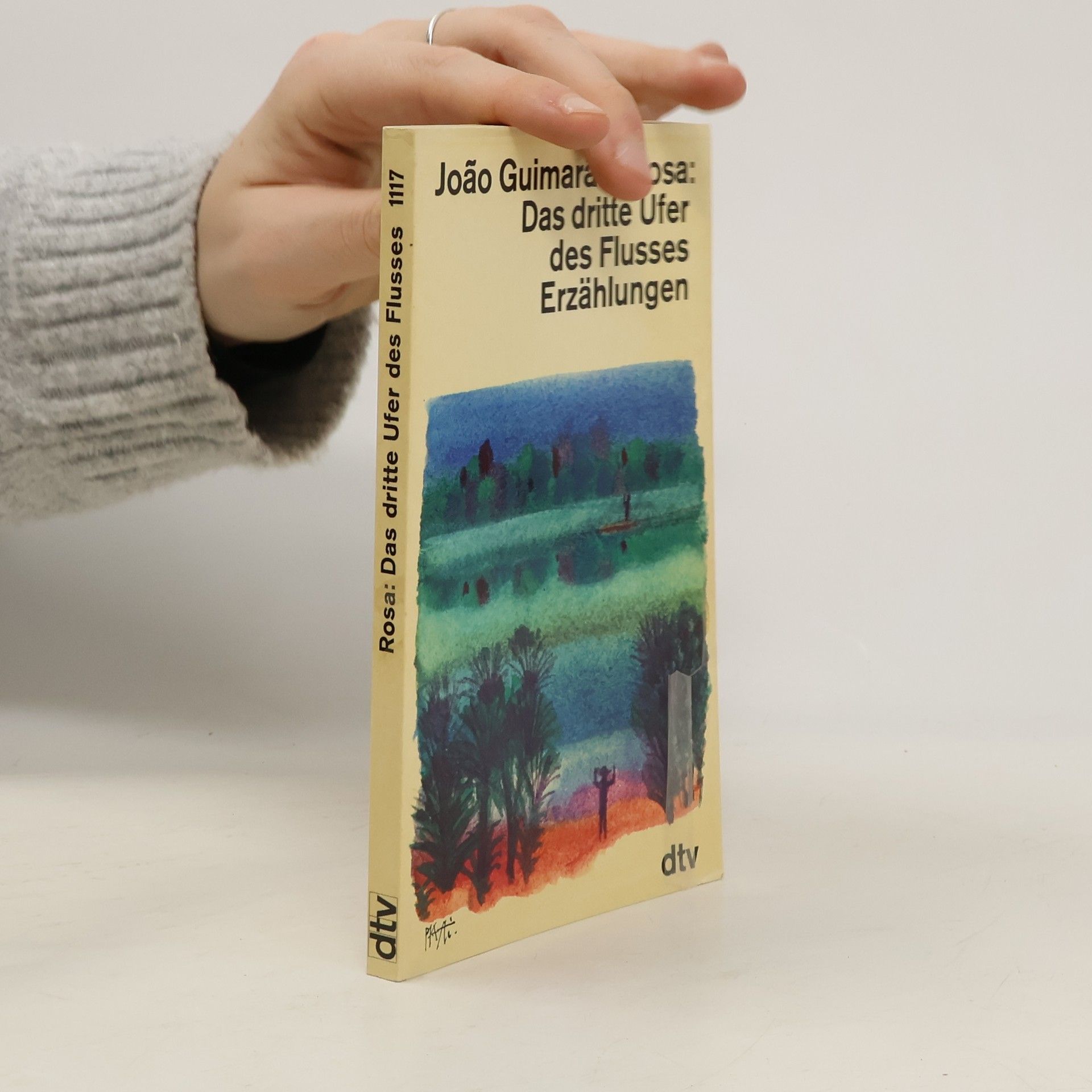 Guimarães Rosa Das dritte Ufer des Flusses