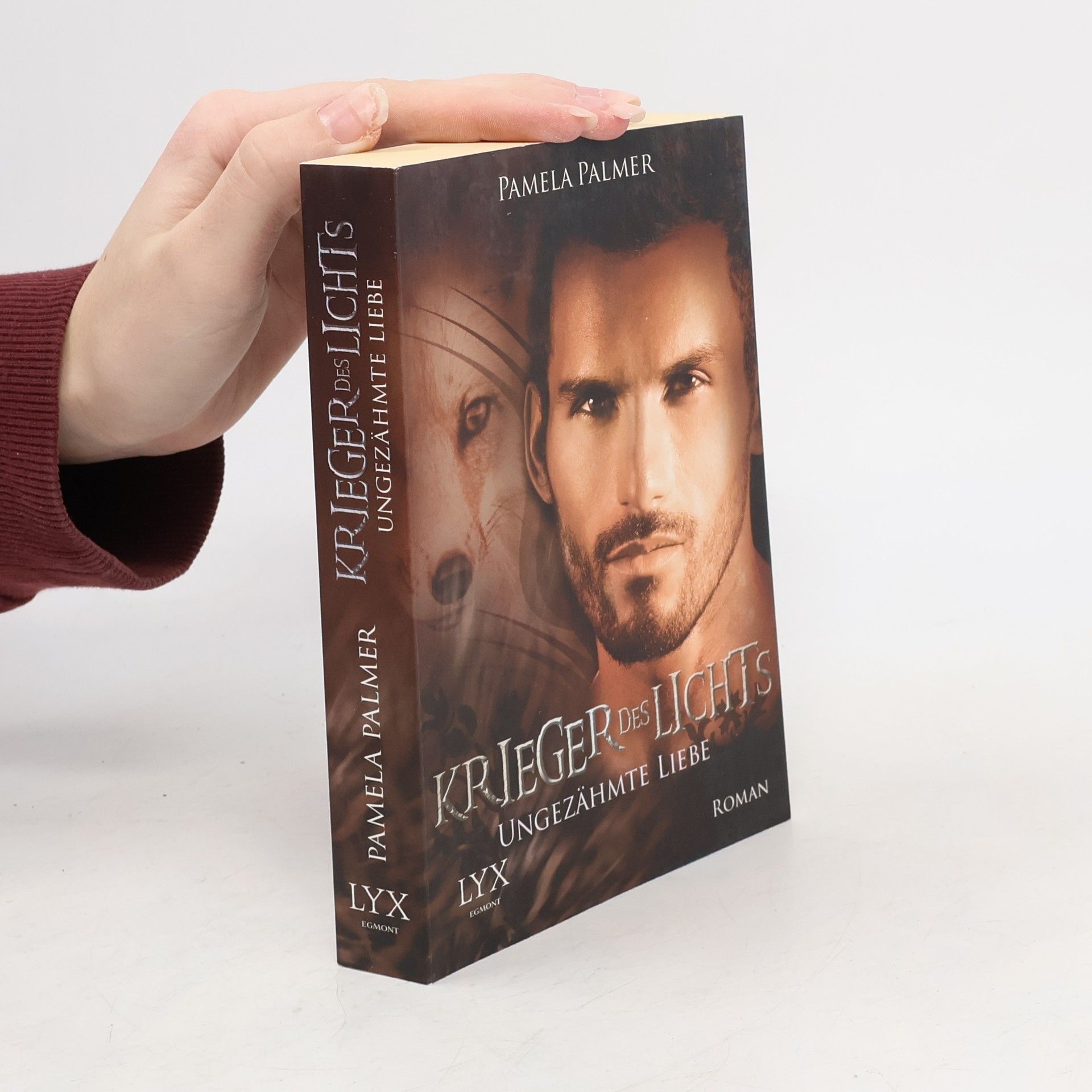 Pamela Palmer Krieger des Lichts 7