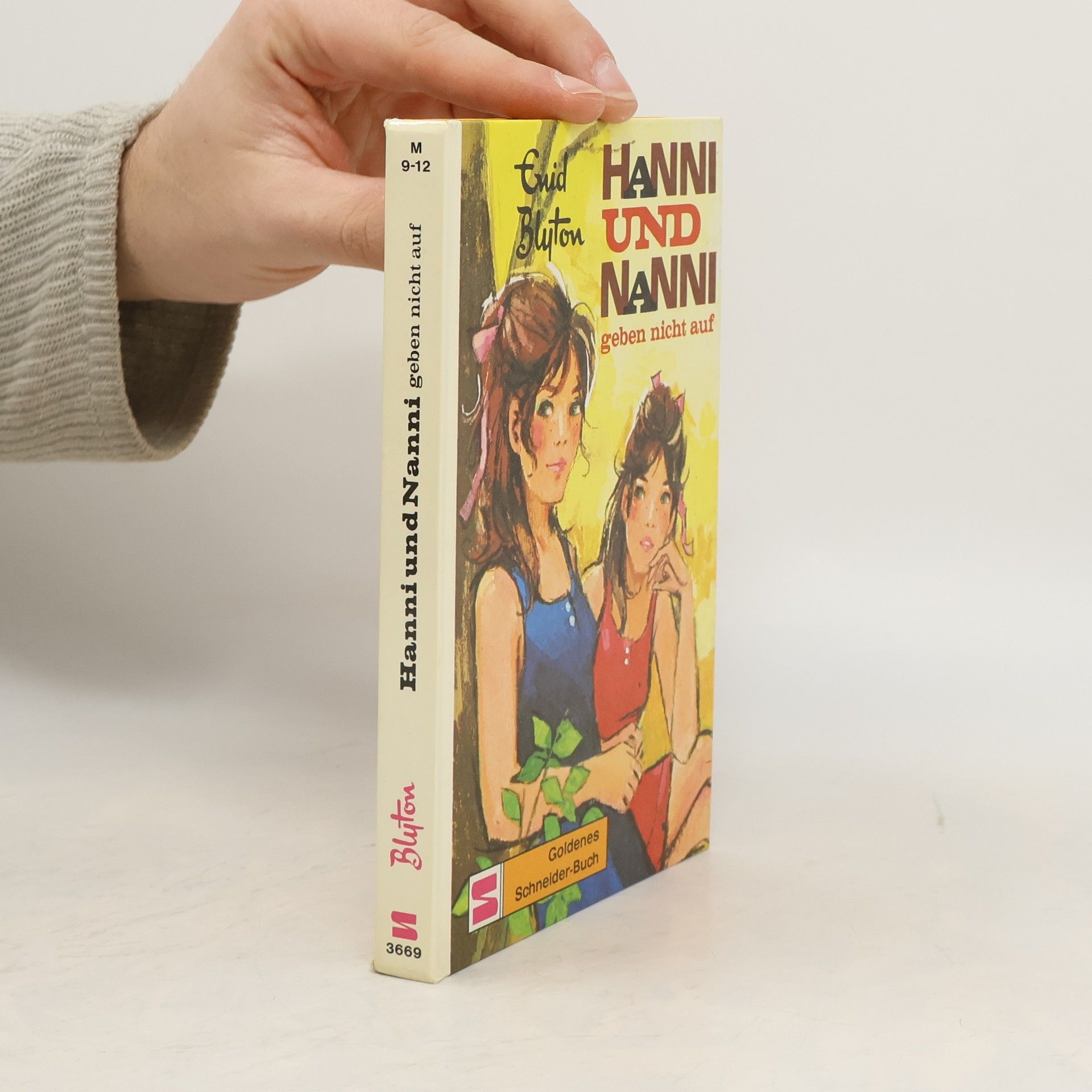 Enid Blyton Hanni und Nanni. Geben nicht auf